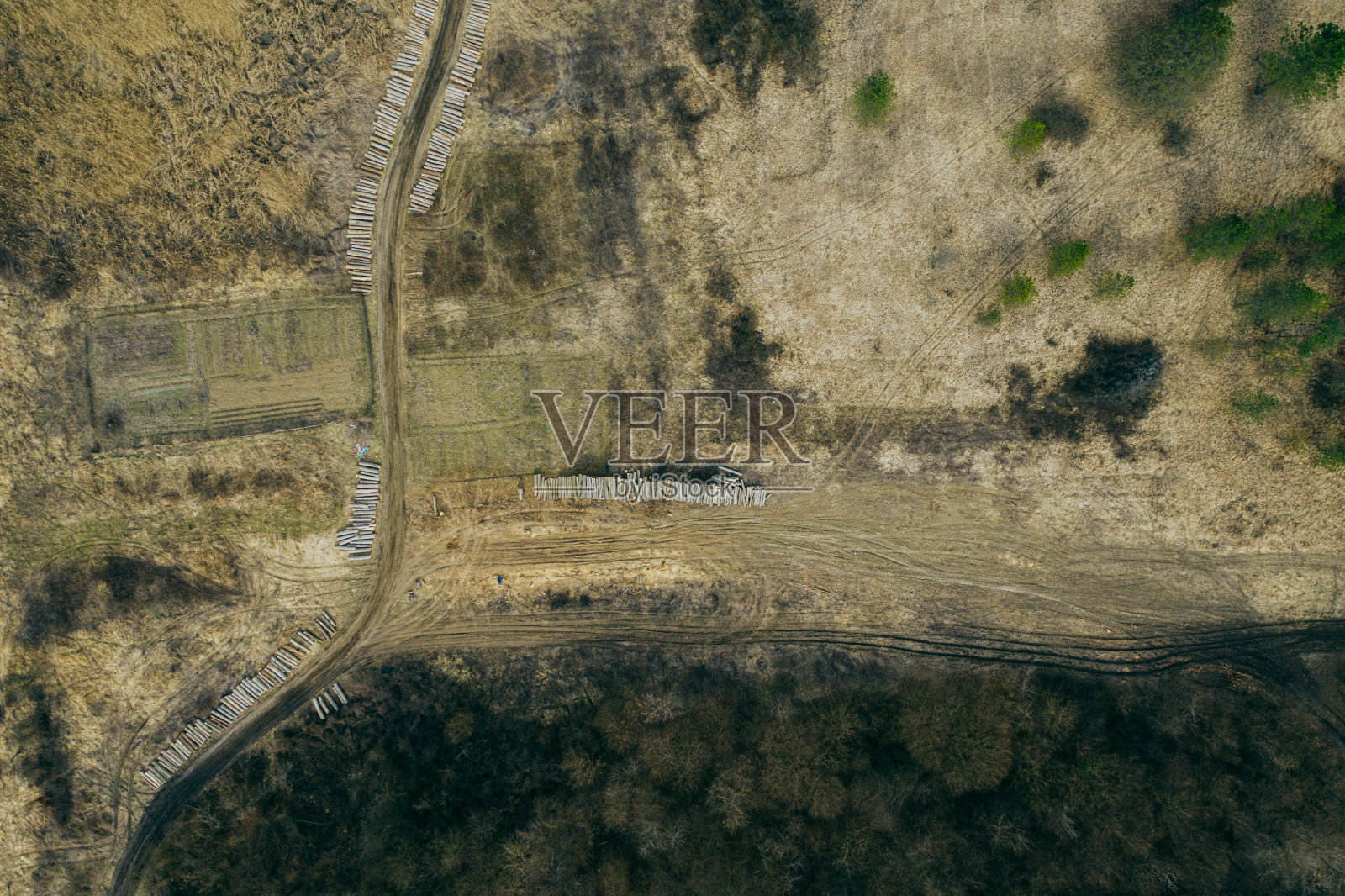风暴对森林的破坏照片摄影图片