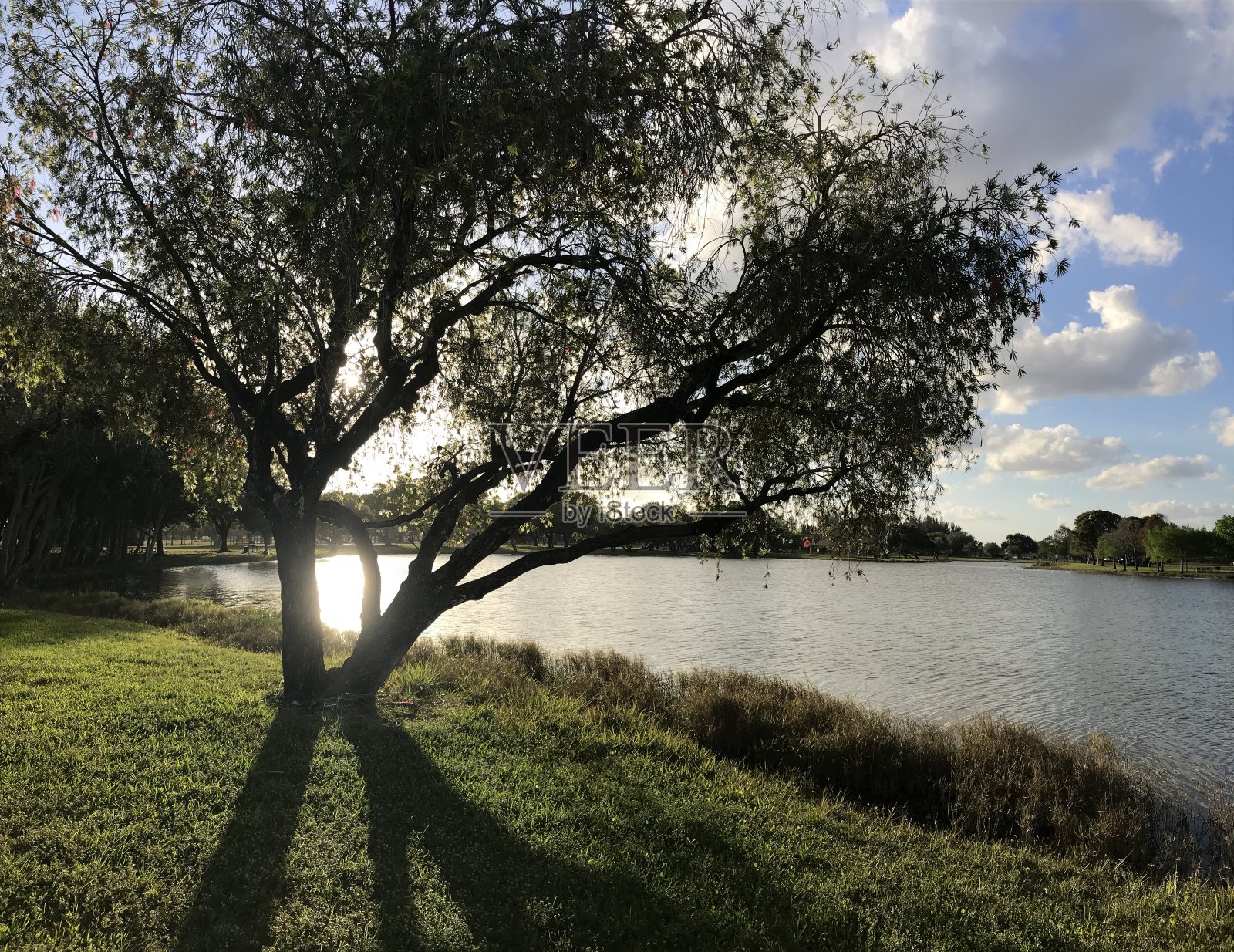 湖边的自然风光照片摄影图片