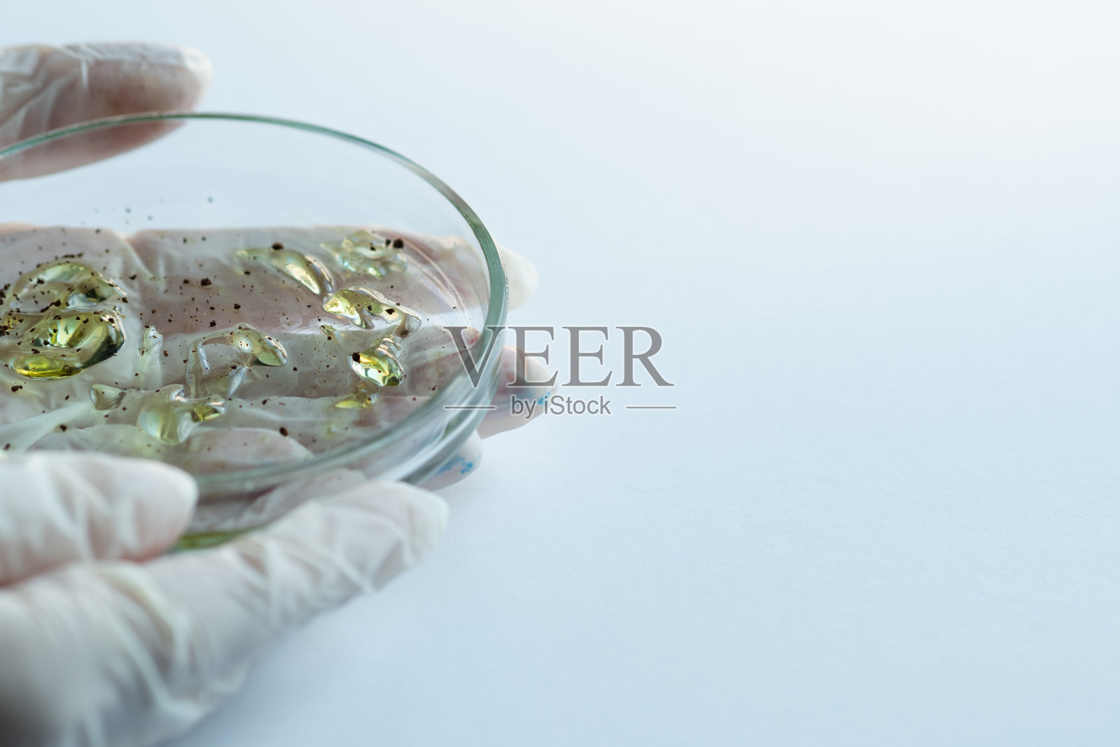 研究病毒和细菌，研究人员拿着一个带有样本的培养皿。照片摄影图片