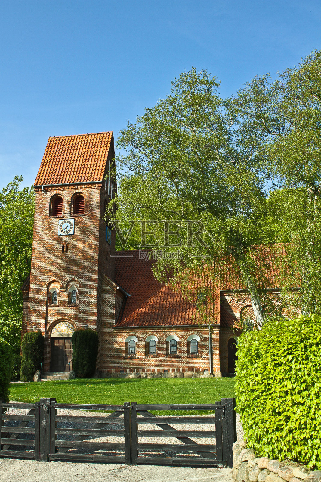 丹麦传统教堂的油菜籽景观照片摄影图片