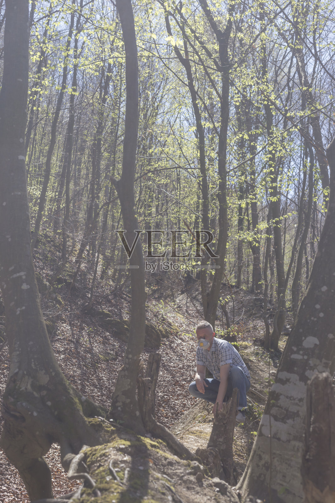 在阳光明媚的春天，在森林里轻松漫步照片摄影图片