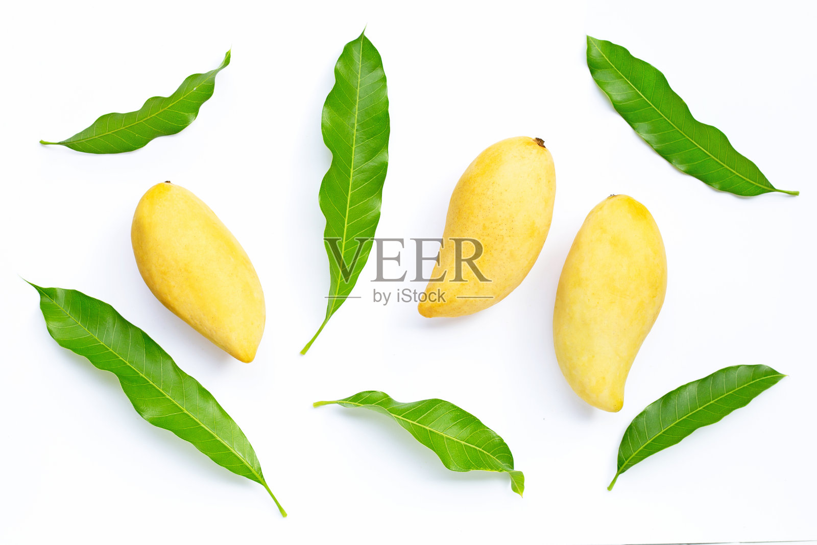 热带水果，白色背景的芒果。照片摄影图片