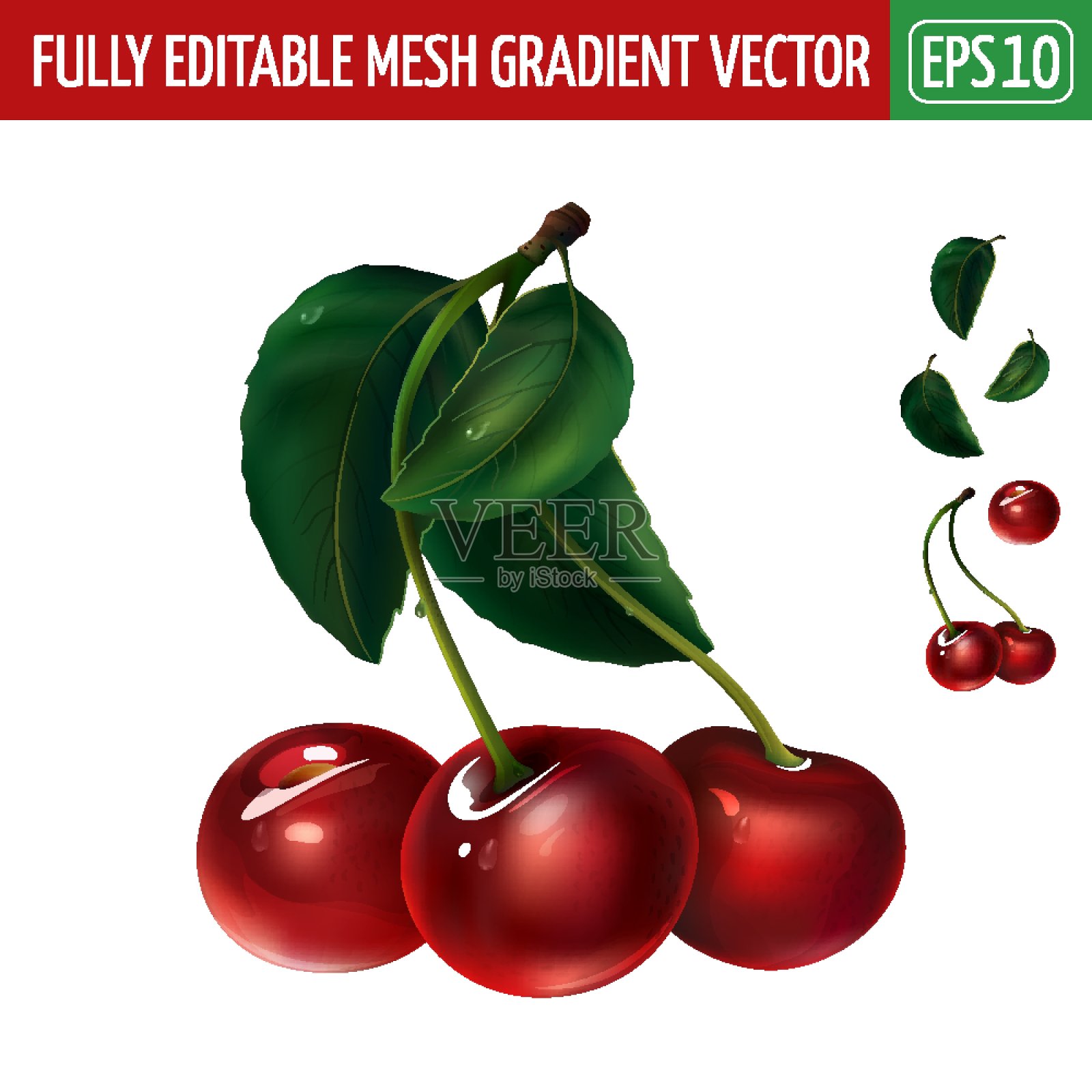 白色背景上的樱桃。矢量图插画图片素材