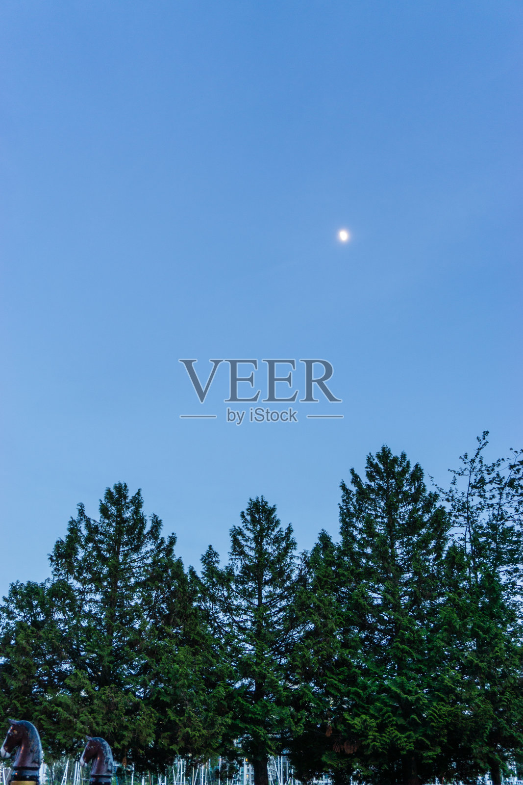 斯坦利公园，温哥华巨型公园，不列颠哥伦比亚照片摄影图片