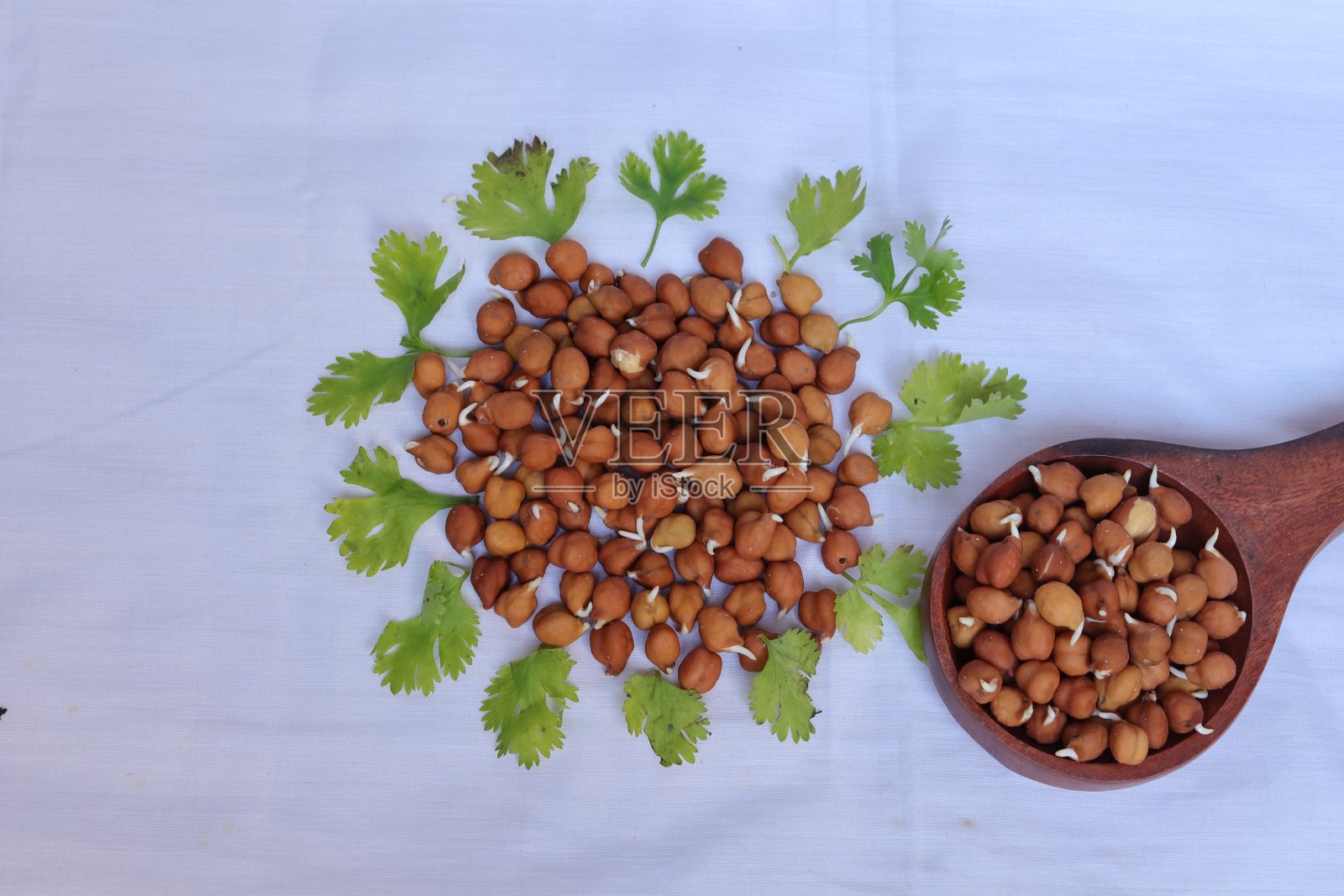 新鲜发芽的鹰嘴豆在白色的背景照片摄影图片