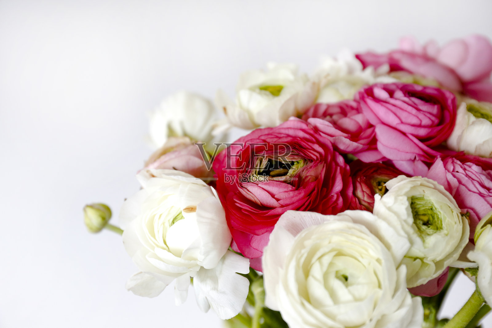 用一束美丽的春天鲜花构成的极简构图。照片摄影图片