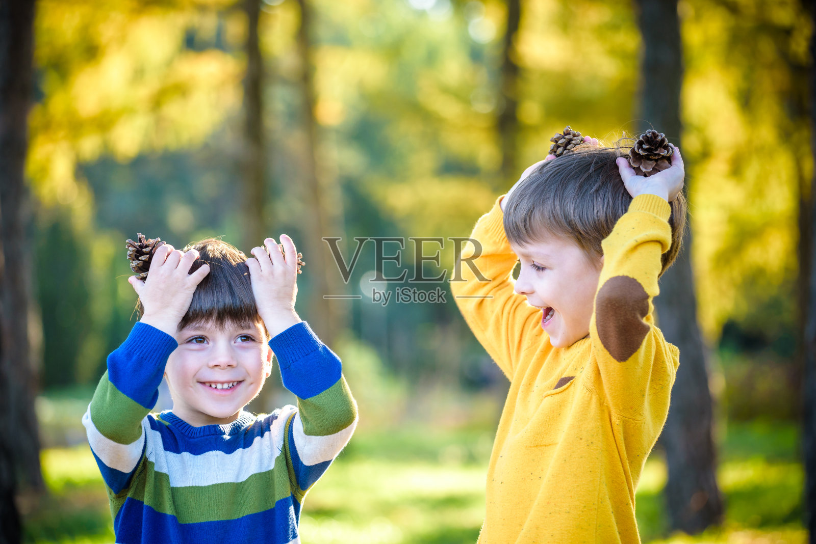 两个可爱的小男孩和两个大松果一起在户外玩耍。照片摄影图片