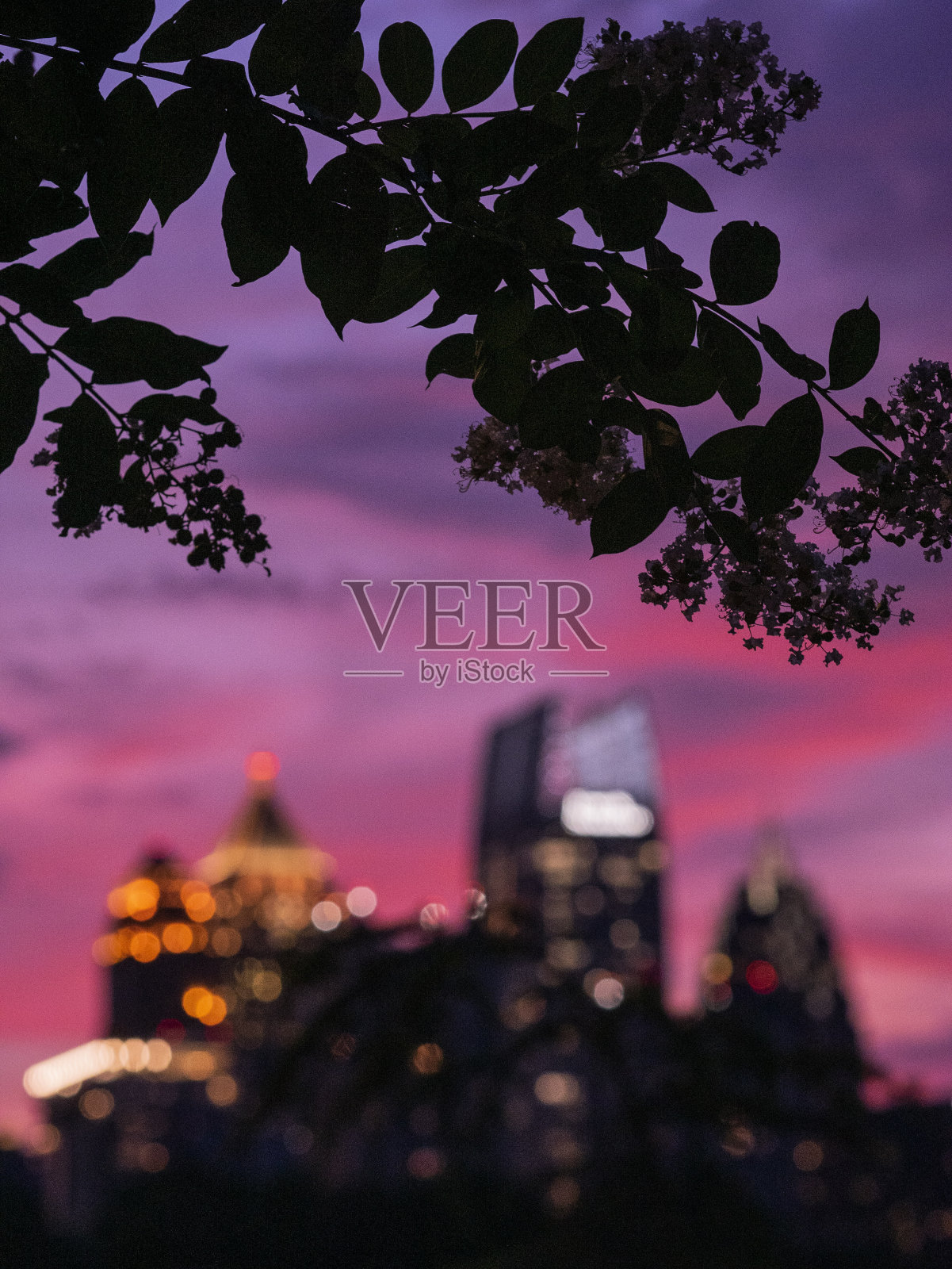 穿过树林的亚特兰大市中心照片摄影图片