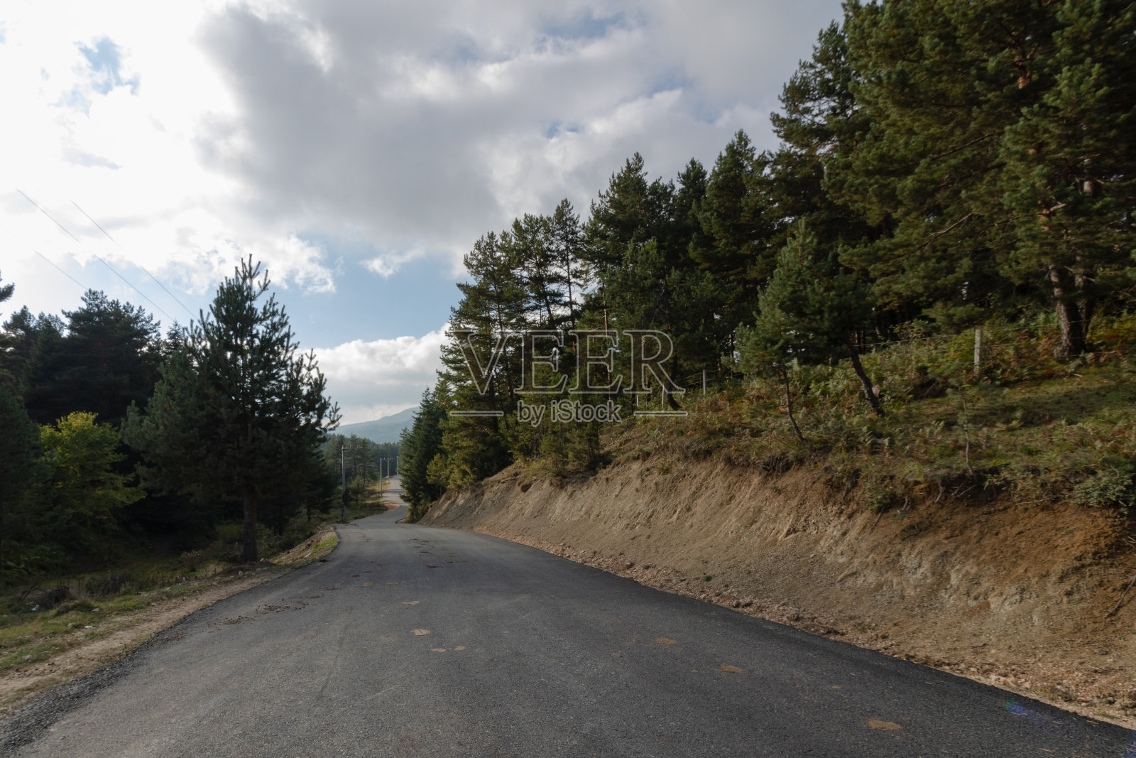 森林里的乡间小路照片摄影图片
