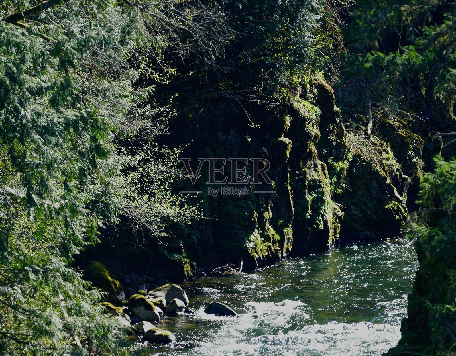 俄勒冈州的胡德河谷淡水照片摄影图片