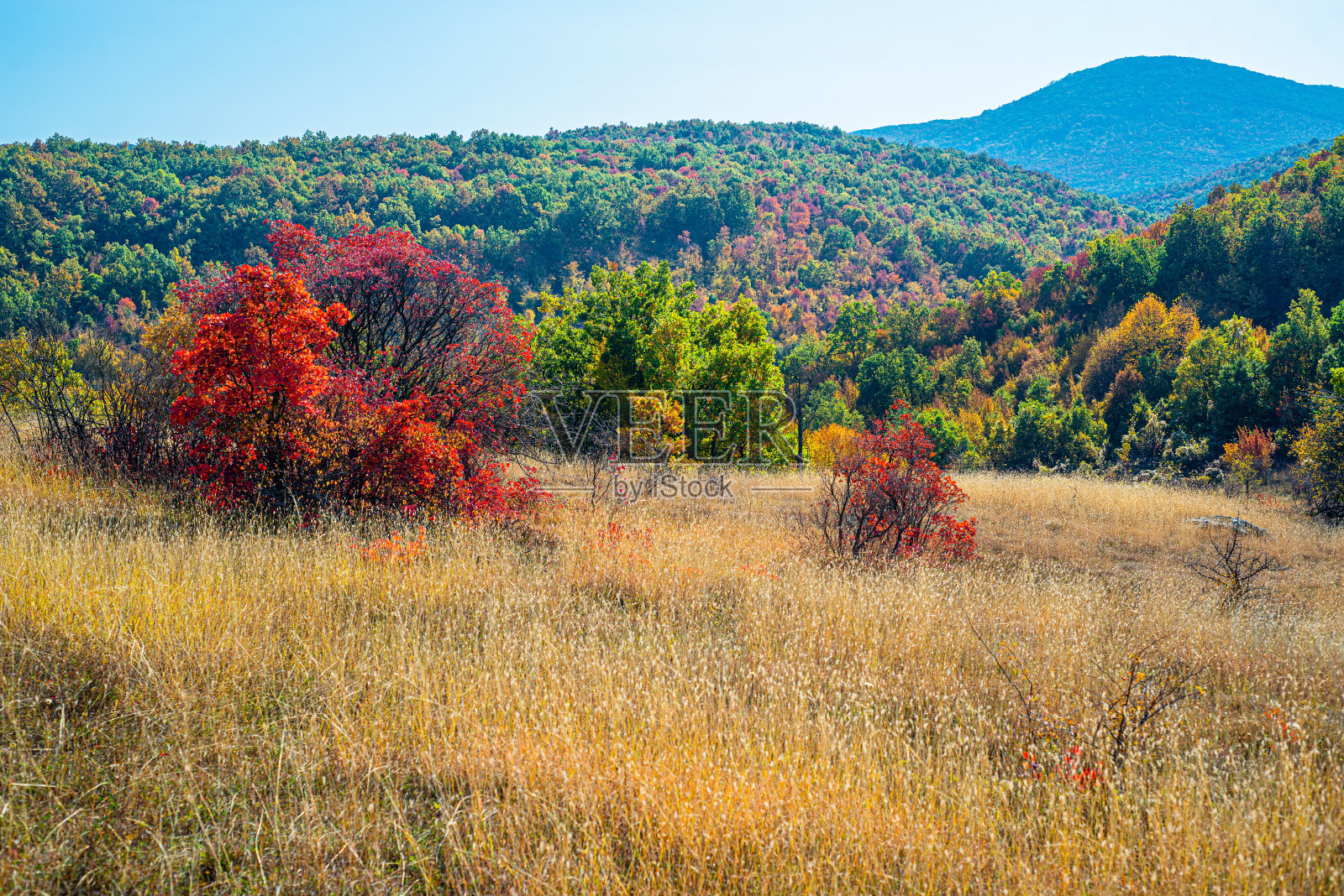 塞尔维亚东部的秋天风景照片摄影图片