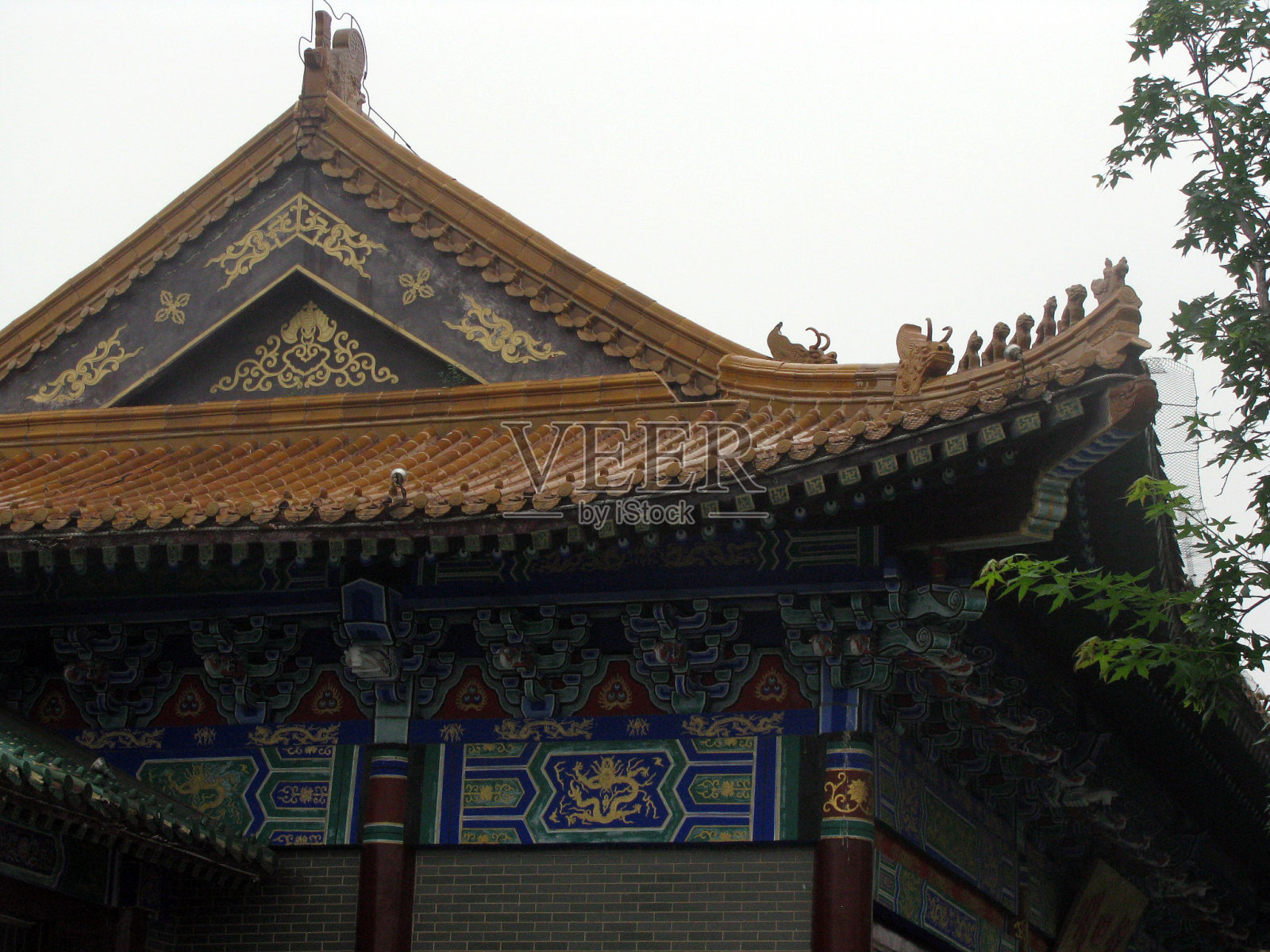 一座佛教寺院里有金色屋顶的寺庙照片摄影图片