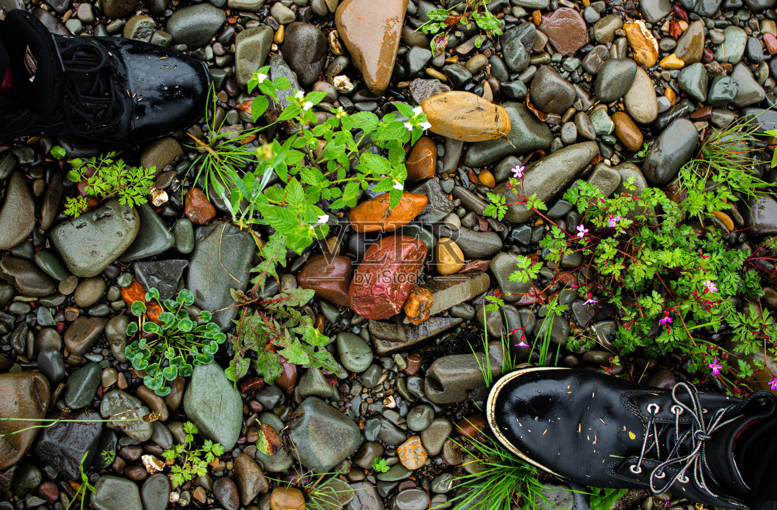 苏格兰，干河床上的徒步靴照片摄影图片