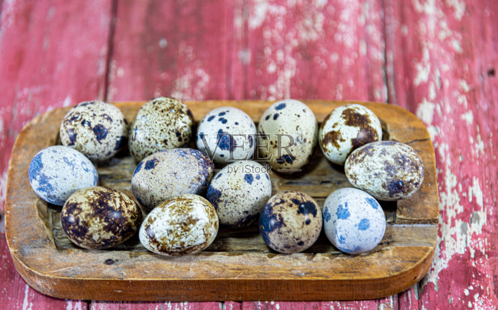 鹌鹑蛋。鹌鹑蛋比鸡蛋小得多，而且味道很好照片摄影图片