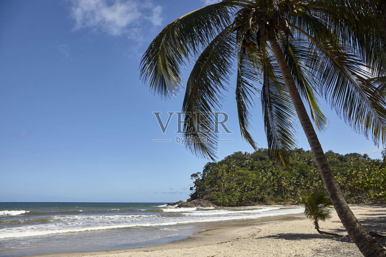 巴西海滩照片摄影图片