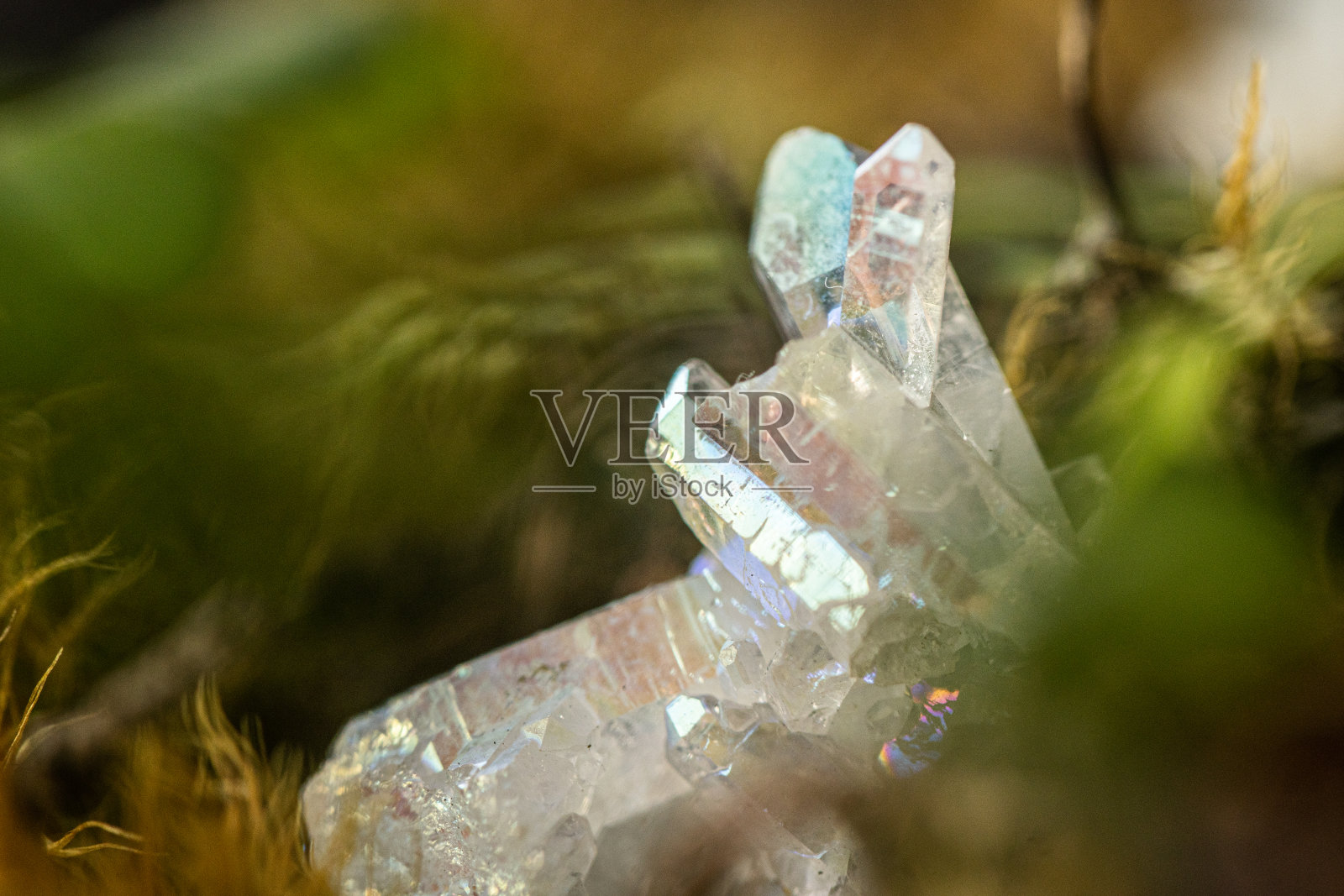 清澈的石英晶体在明亮的绿色苔藓上照片摄影图片