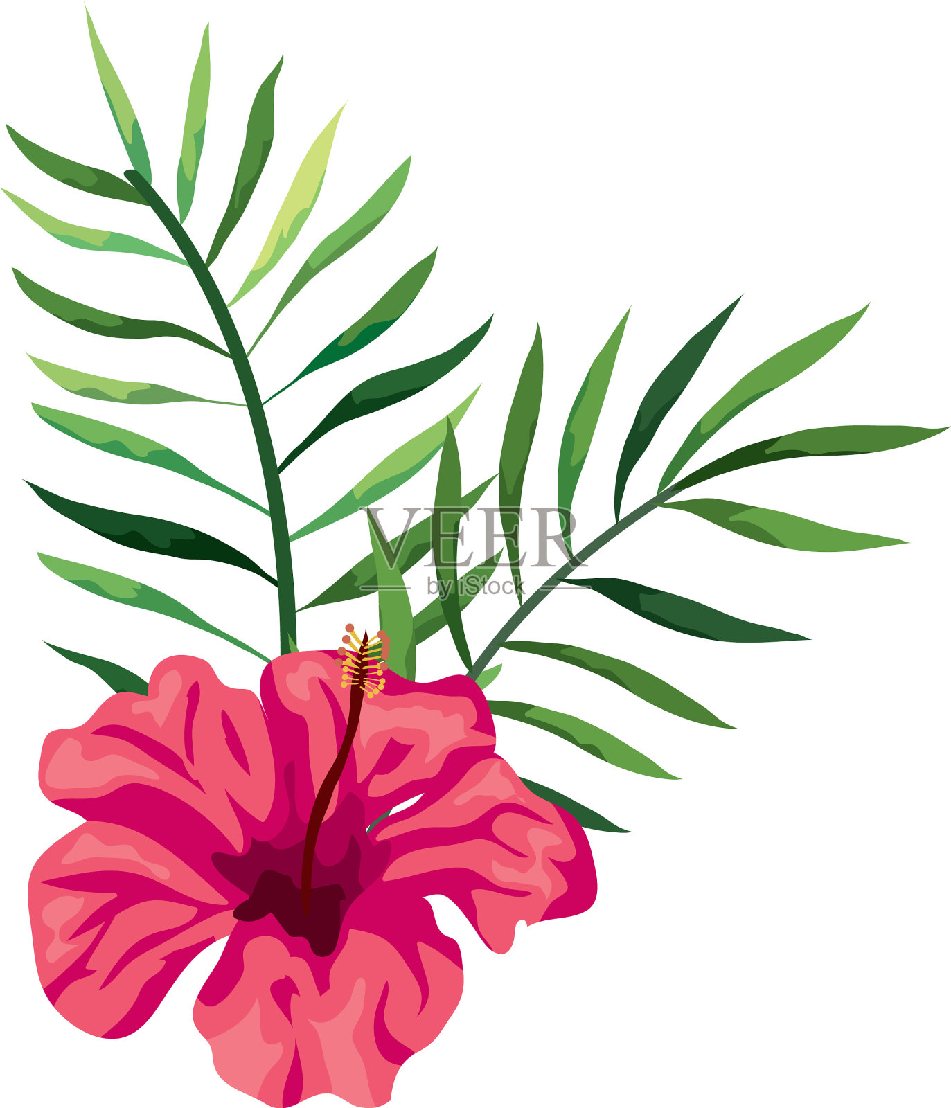 天然花粉红色，带枝和设计元素图片