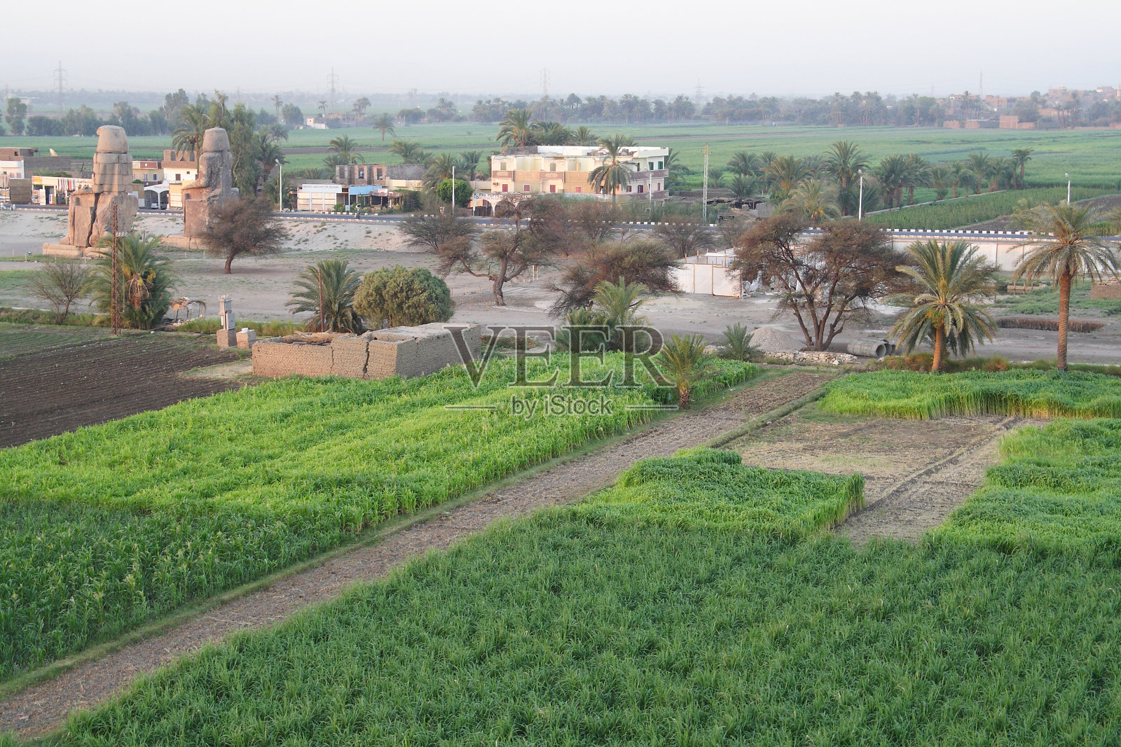 埃及日出时分的热气球景观照片摄影图片