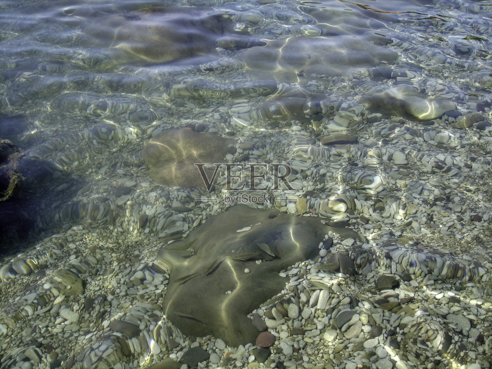 卵石、岩石、海草在浅水中透过清澈的海水。照片摄影图片