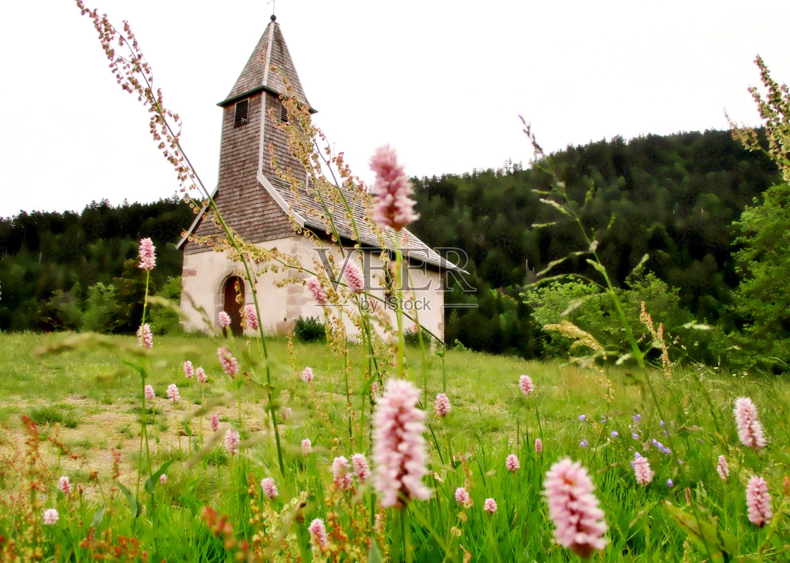 绿色环境中的圣弗洛伦教堂照片摄影图片