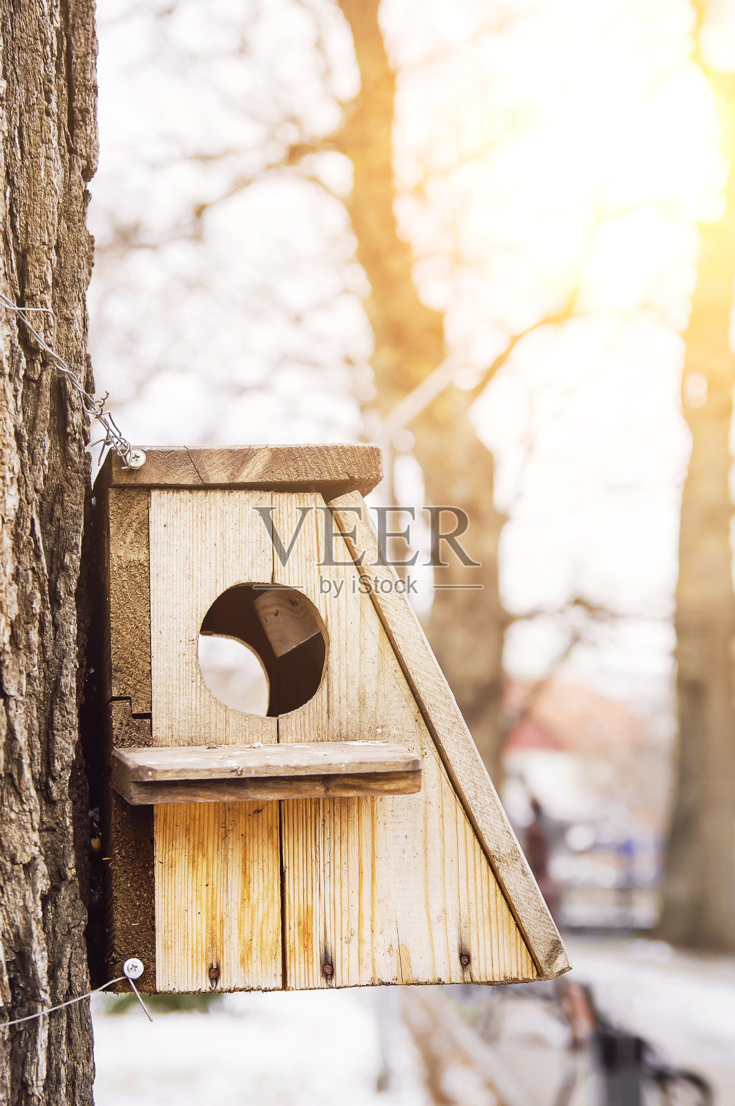鸟屋悬挂在树上，洞口在明亮的阳光下呈圆形。照片摄影图片