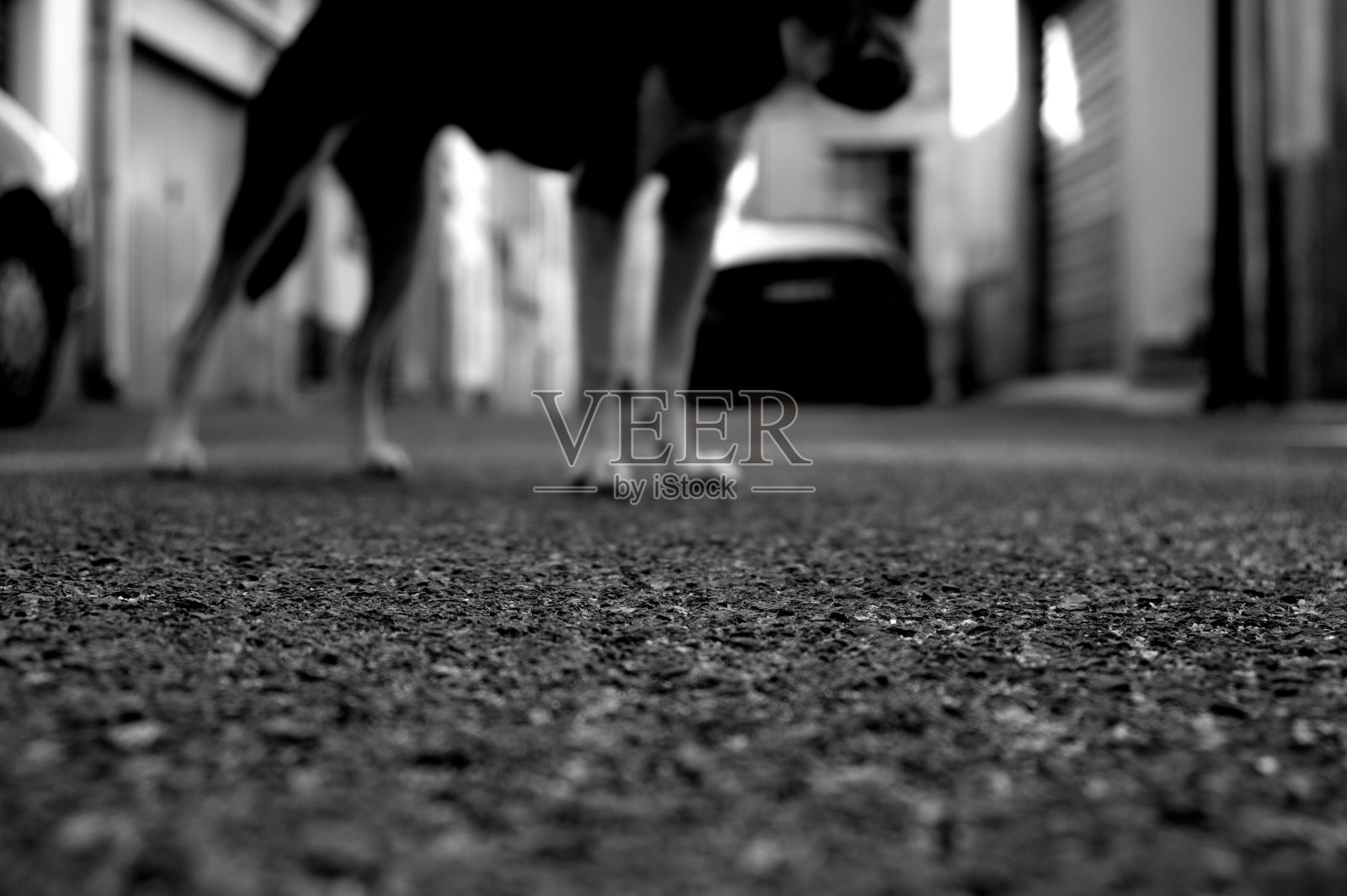 街道表面的低角度视图。意大利撒丁岛。照片摄影图片