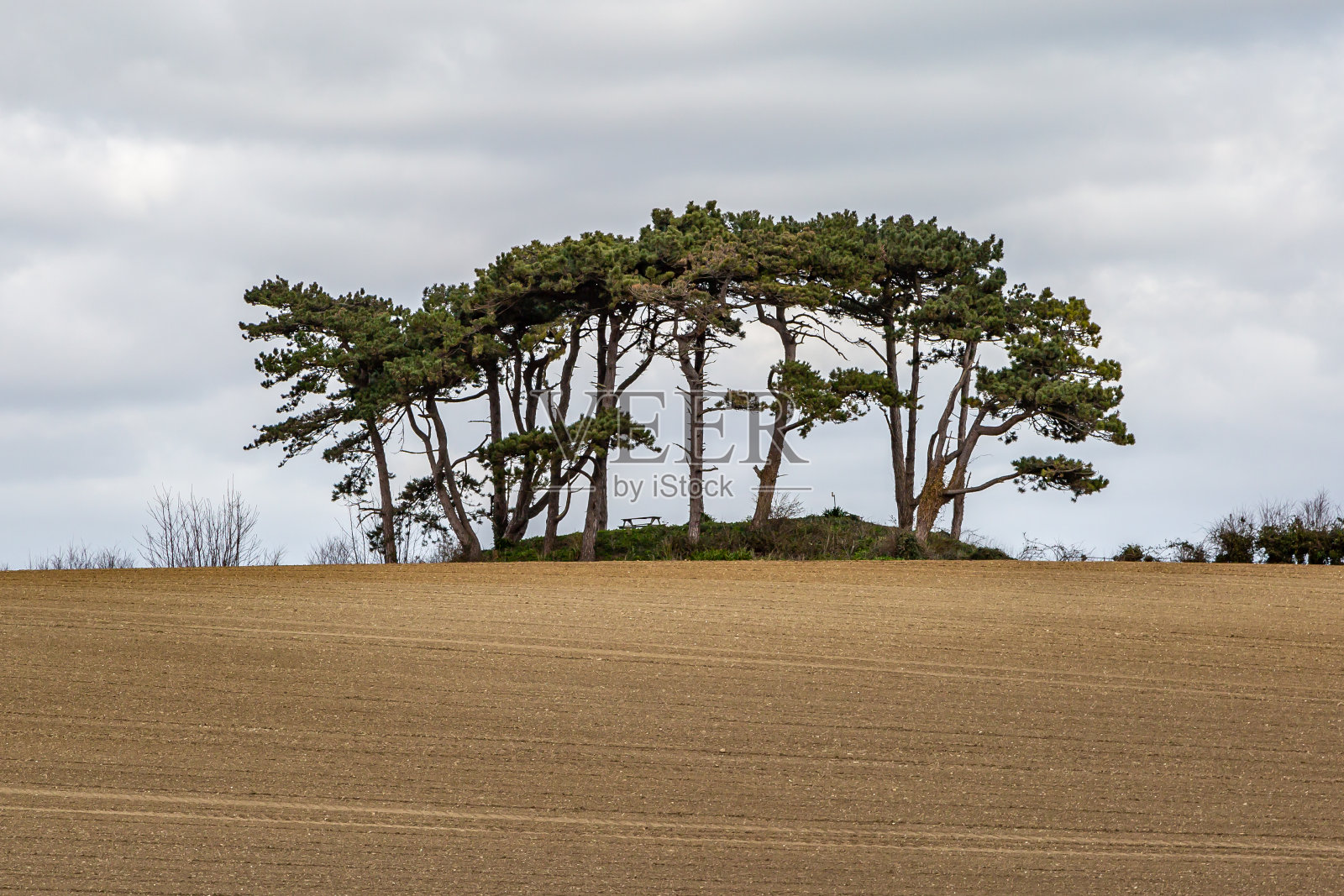 苏塞克斯乡村风景照片摄影图片