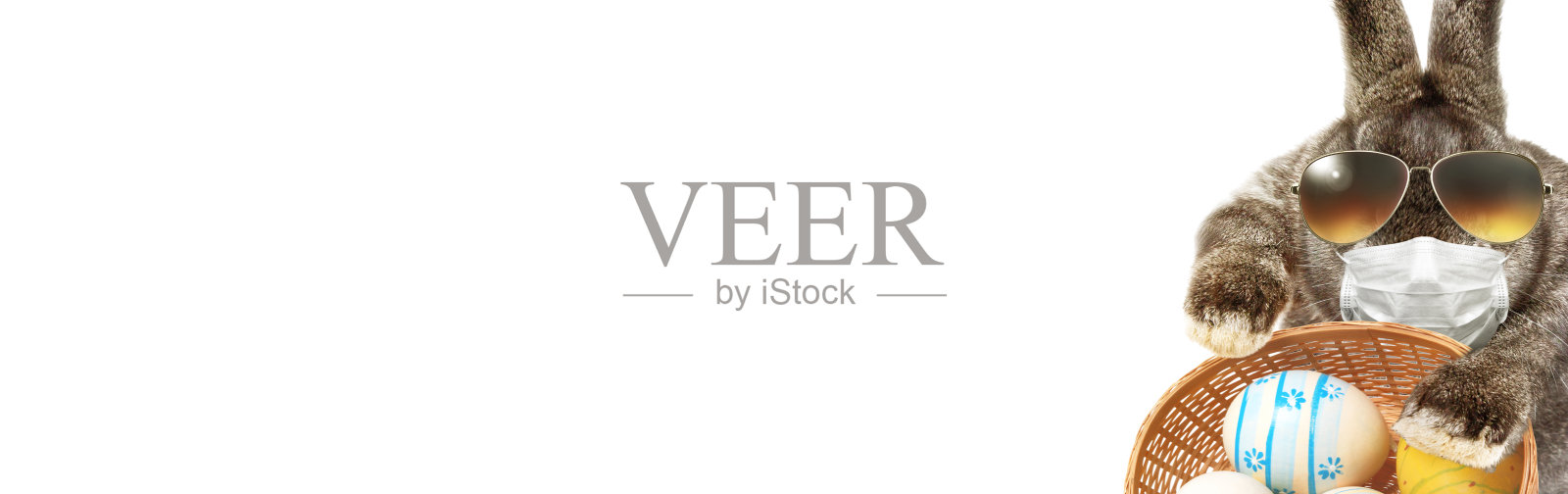 复活节兔子戴着医用口罩在疫情期间照片摄影图片