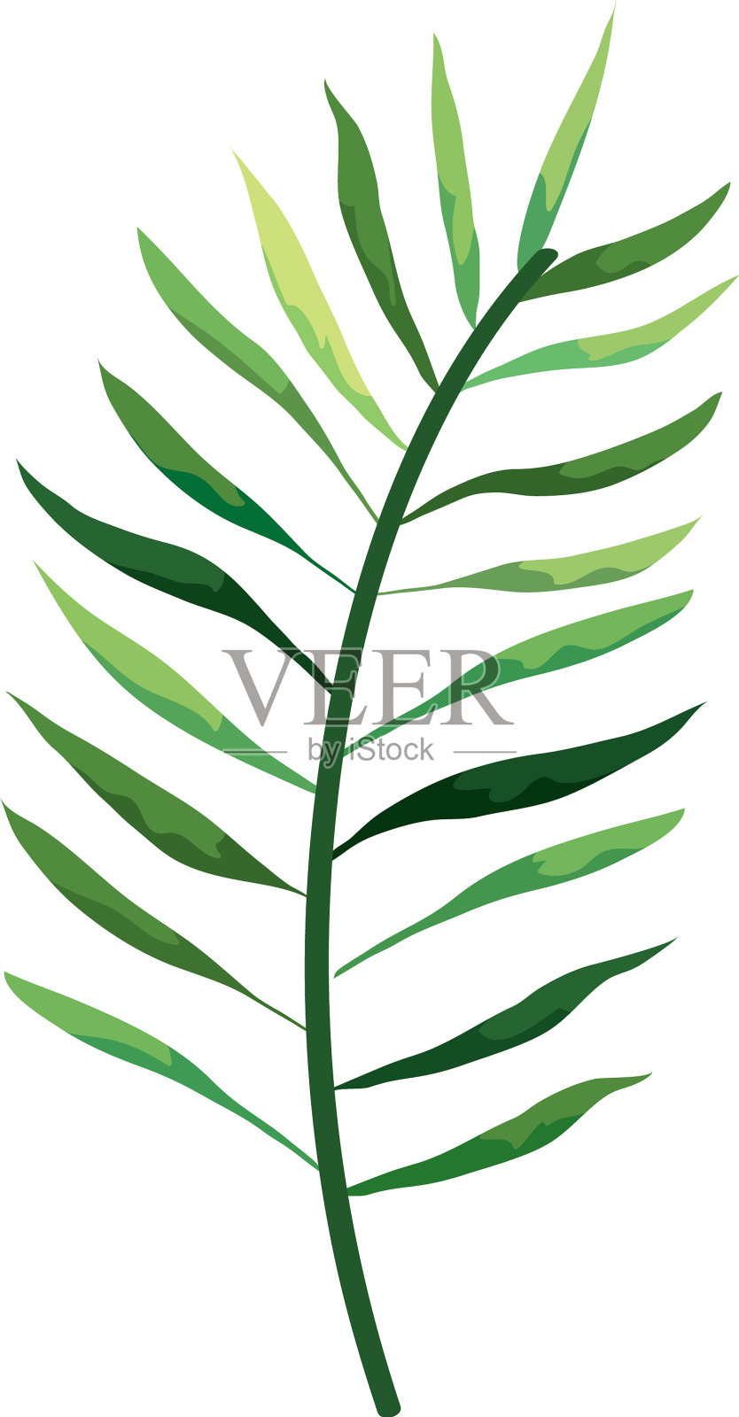 枝叶自然孤立的图标设计元素图片