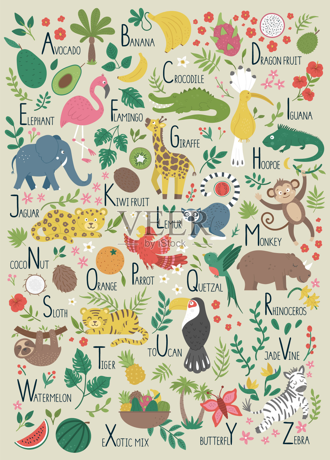 儿童的热带字母。可爱的扁ABC丛林动物，水果，鸟，植物。垂直布局有趣的海报教学阅读米色背景。插画图片素材