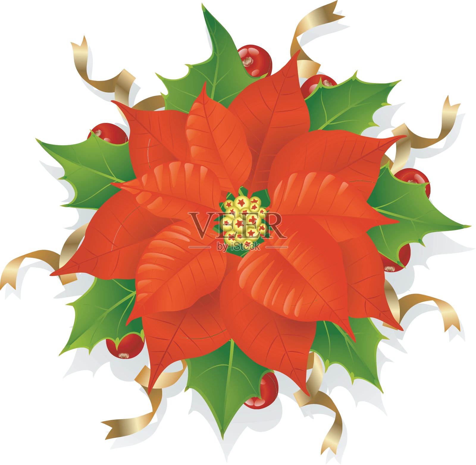 圣诞花设计元素图片