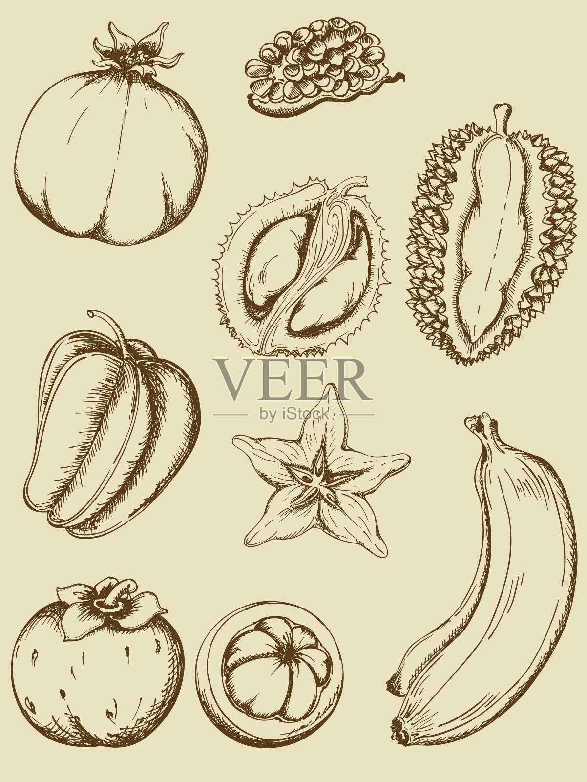 热带水果插画图片素材