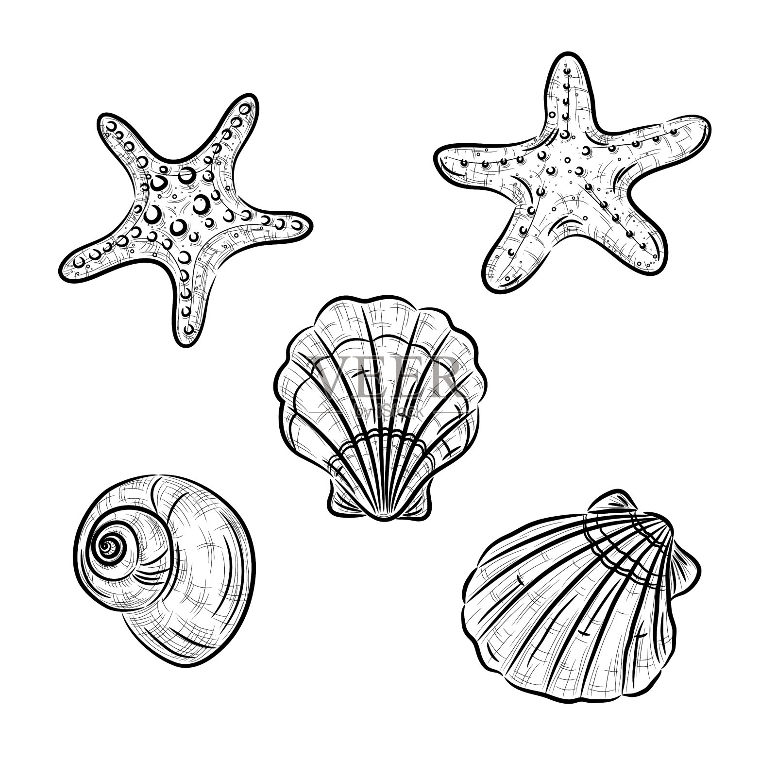 水生动物图插画图片素材