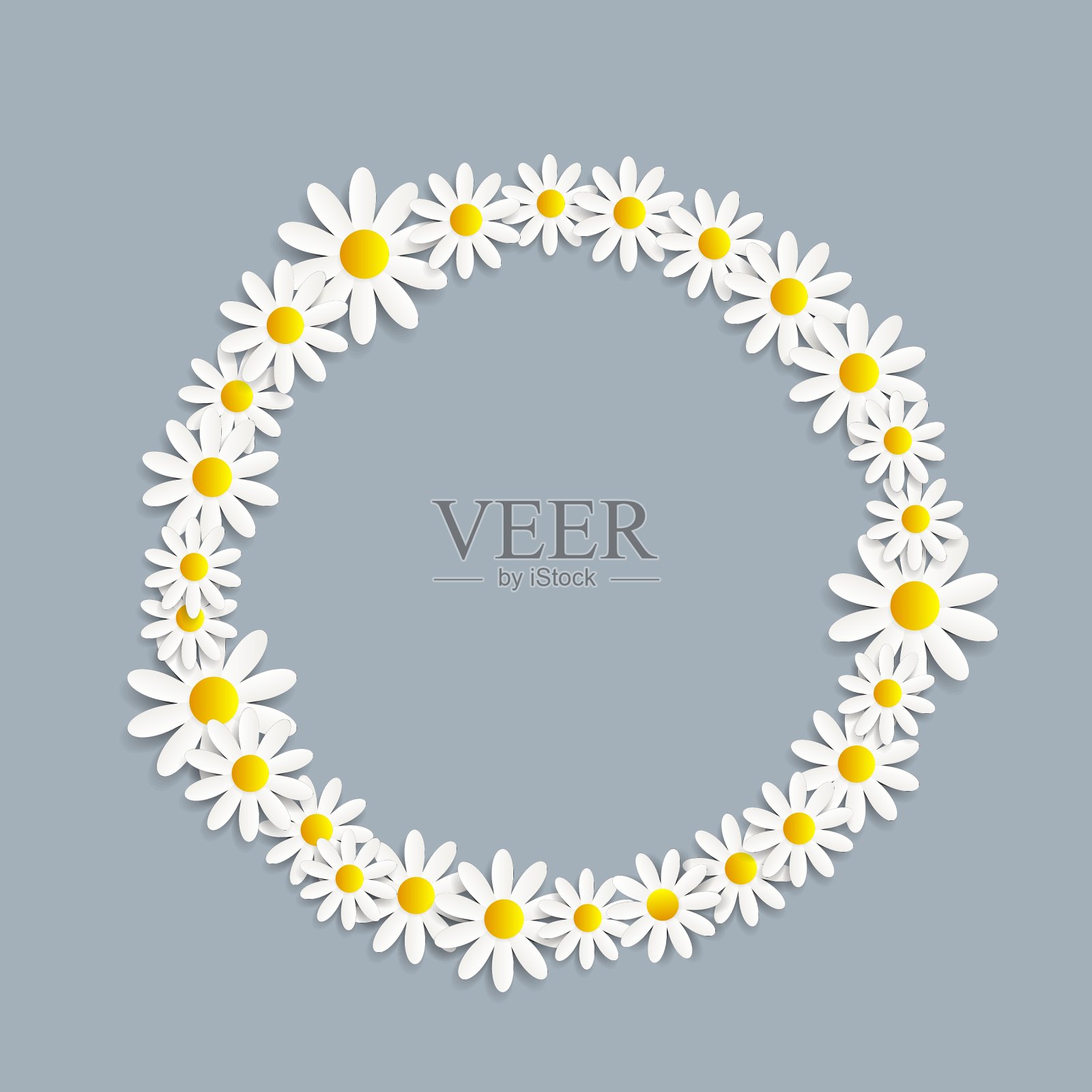 植物Daisyl设计插画图片素材