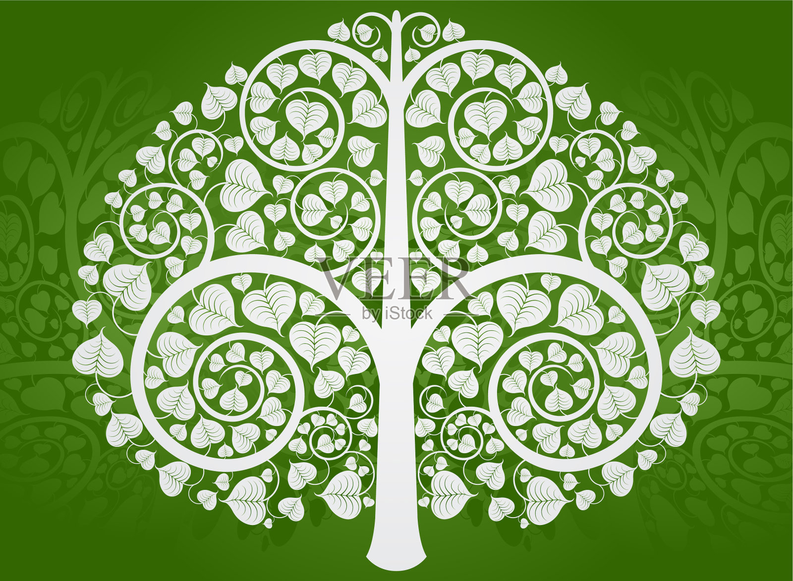 绿色背景上的银佛树插画图片素材