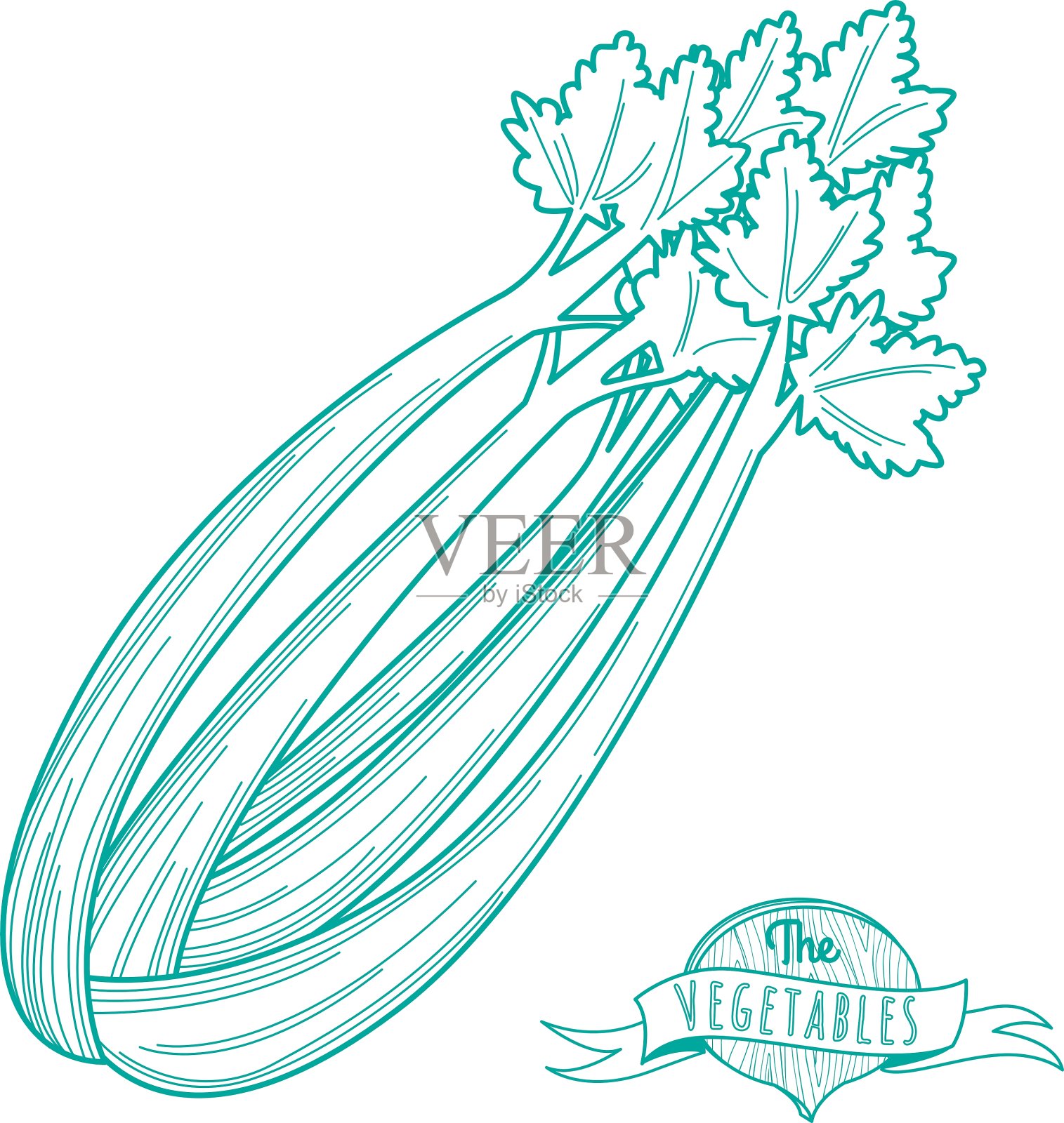 芹菜平面风格的手绘轮廓草图设计元素图片