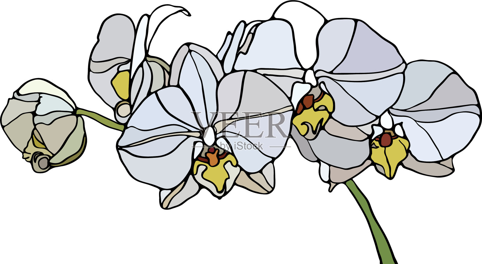 兰花彩色玻璃设计元素图片