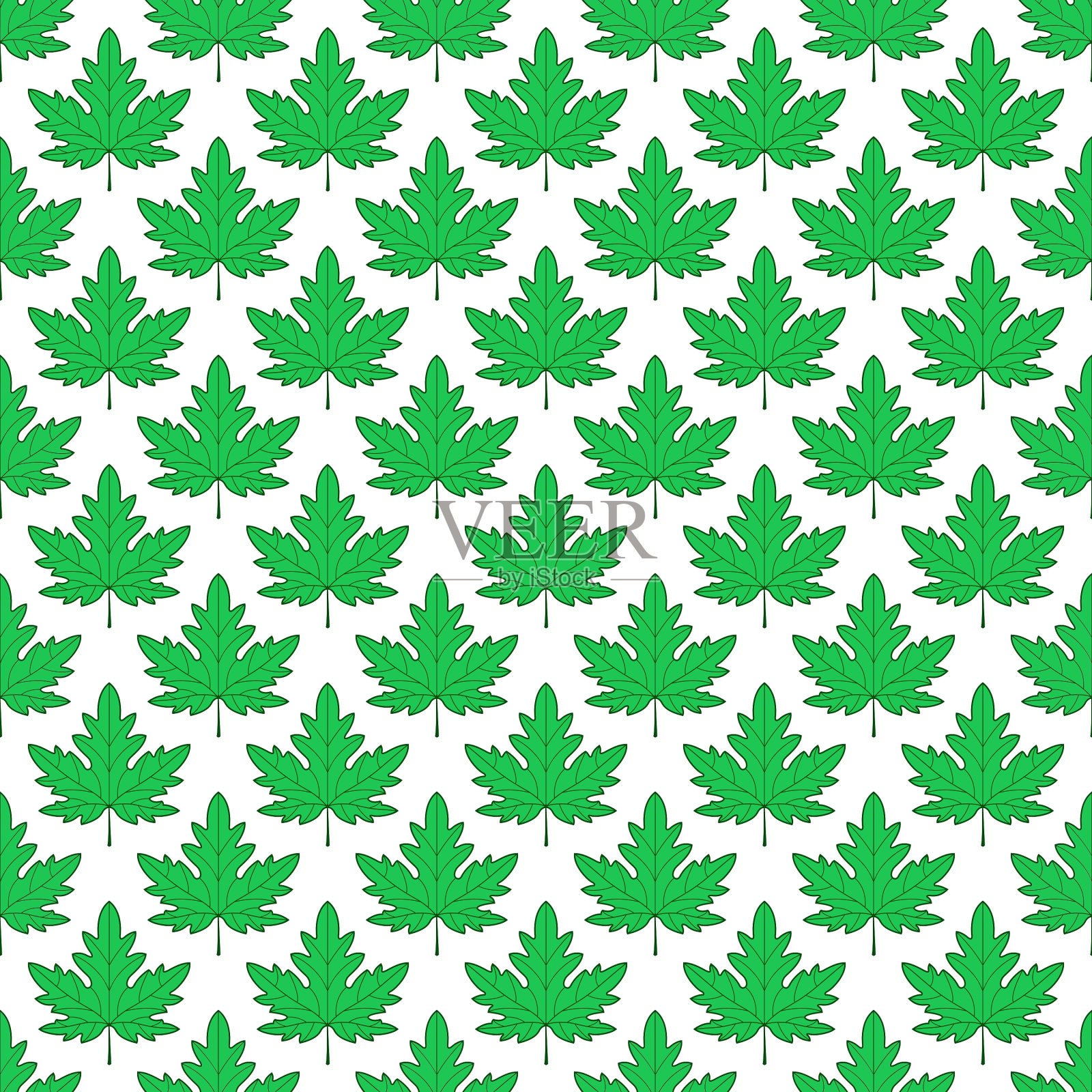 枫叶图案插画图片素材