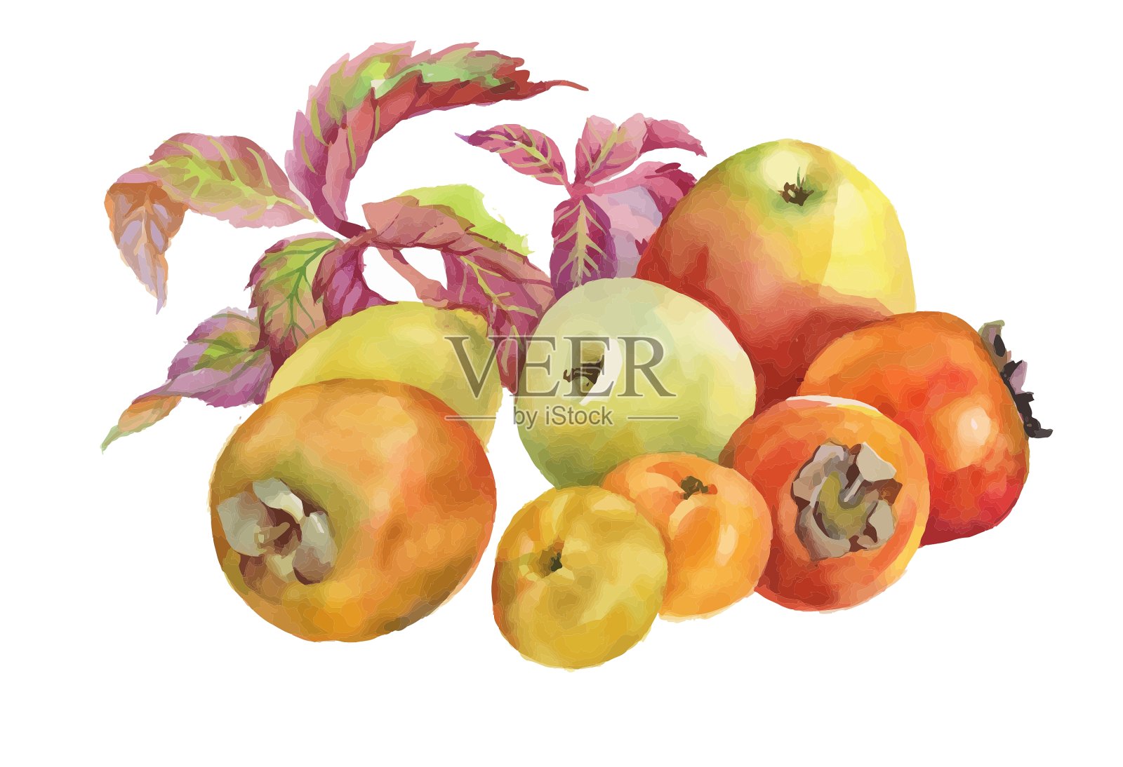 水果艺术设计设计元素图片