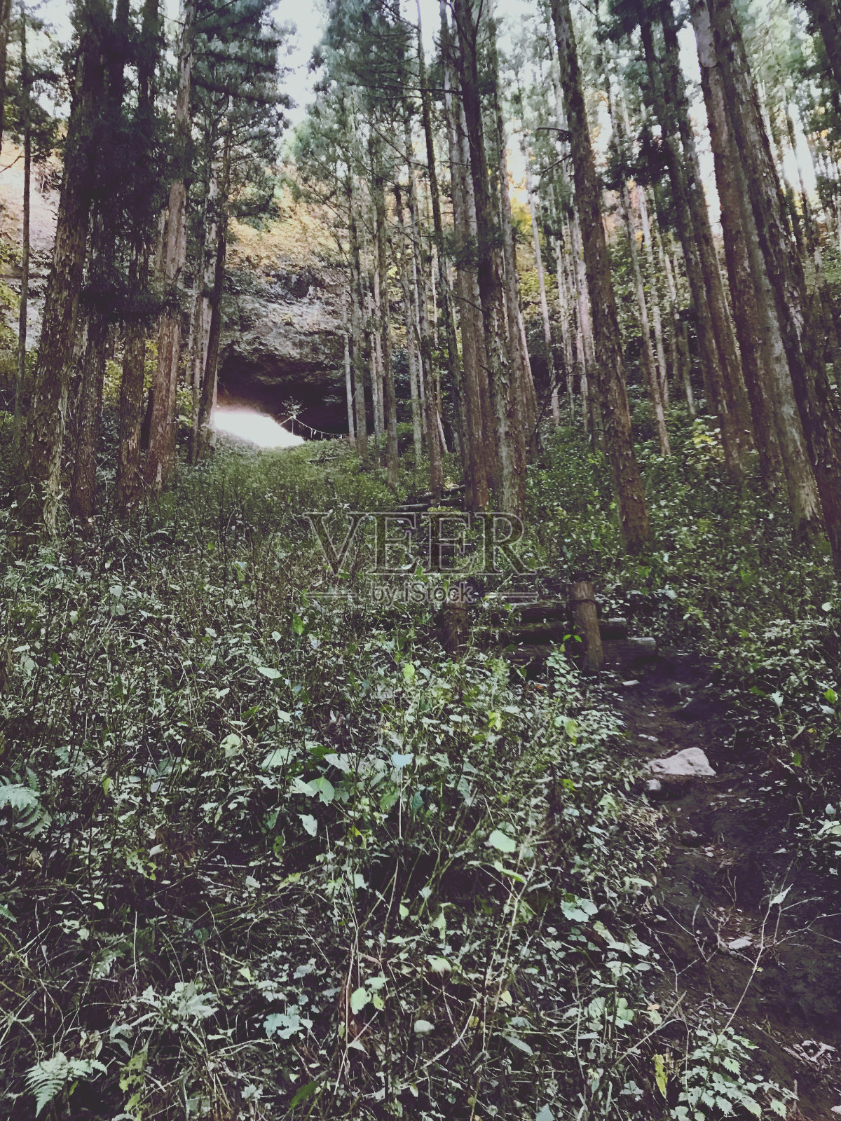 位于日本山顶的神圣岩石区域。照片摄影图片