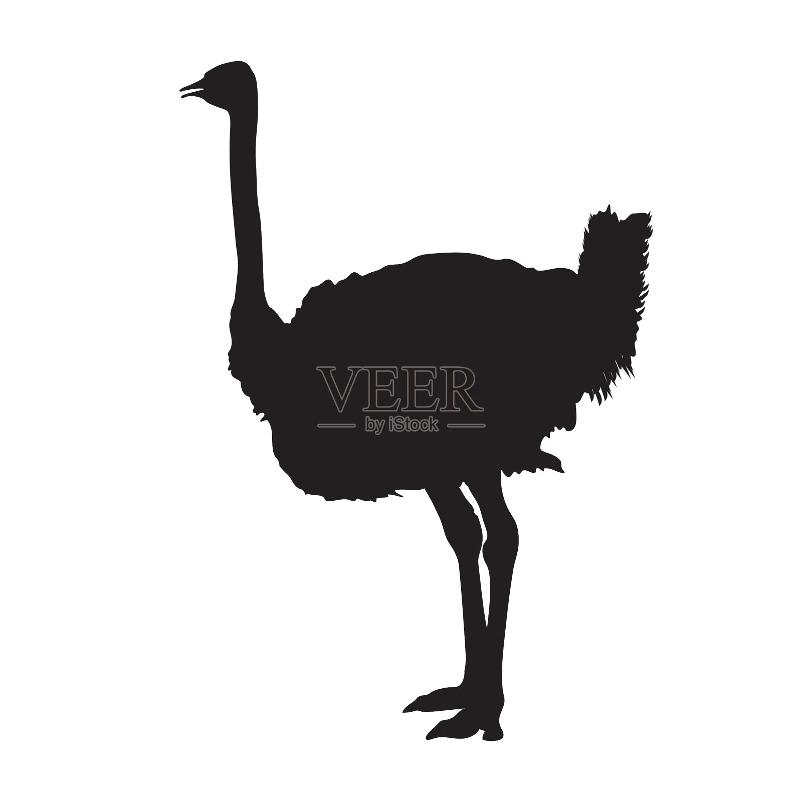 鸵鸟轮廓设计元素图片