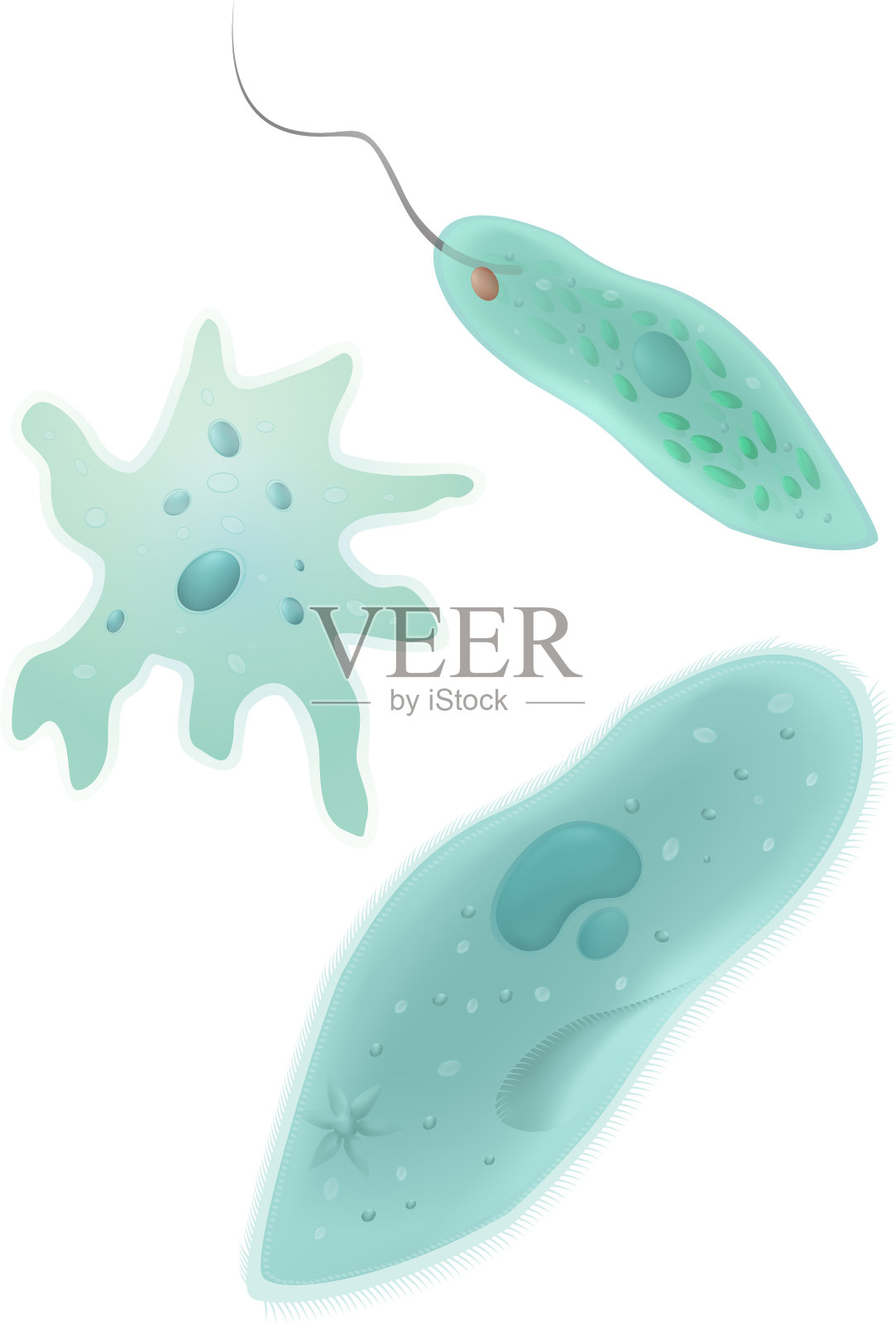 原生动物设计元素图片