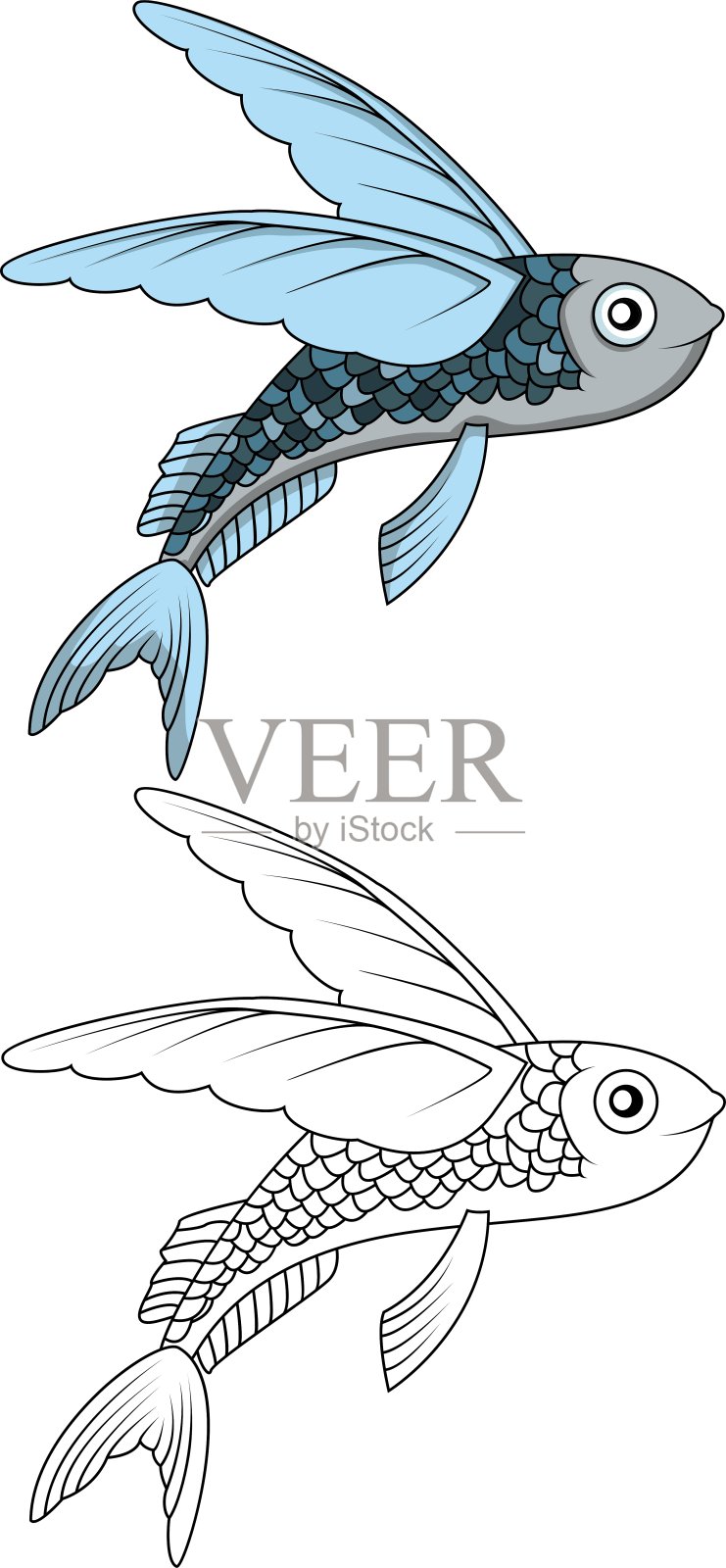 飞鱼为您设计设计元素图片