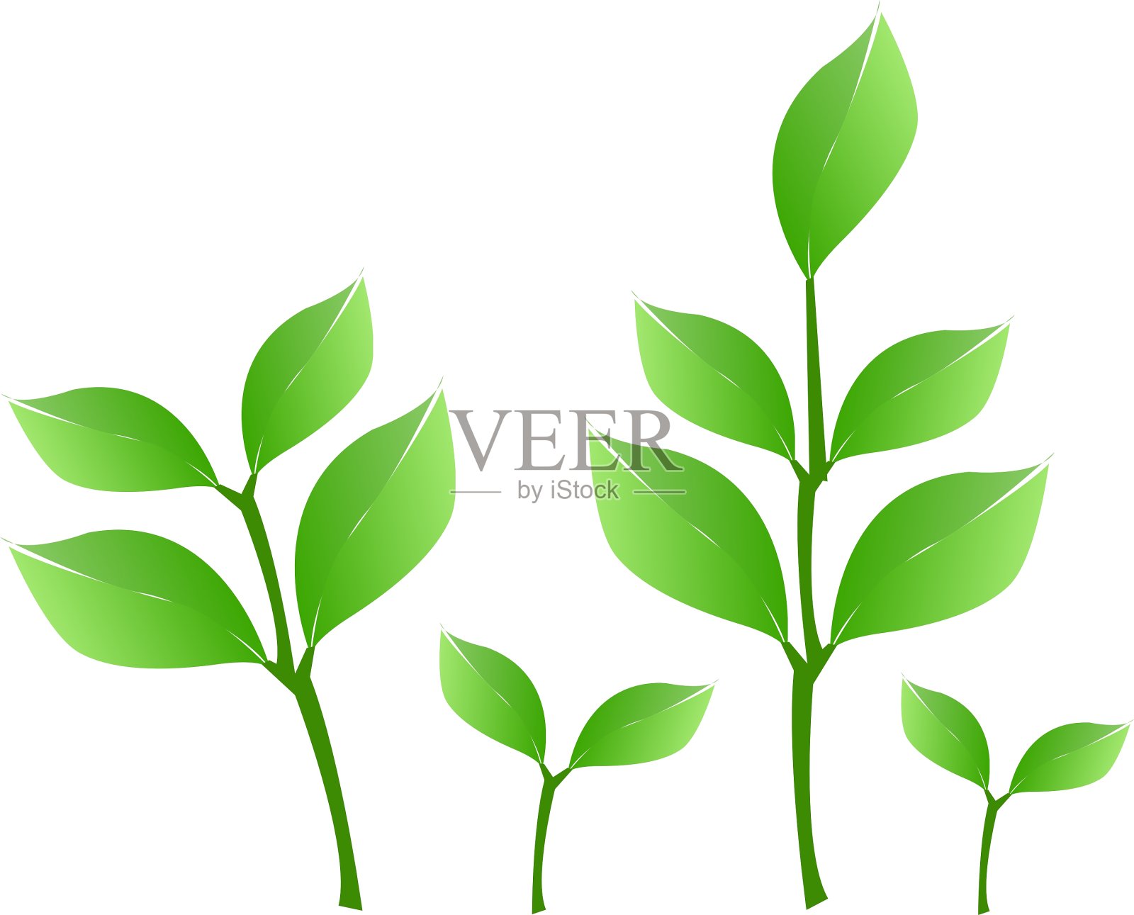 植物的景色设计元素图片