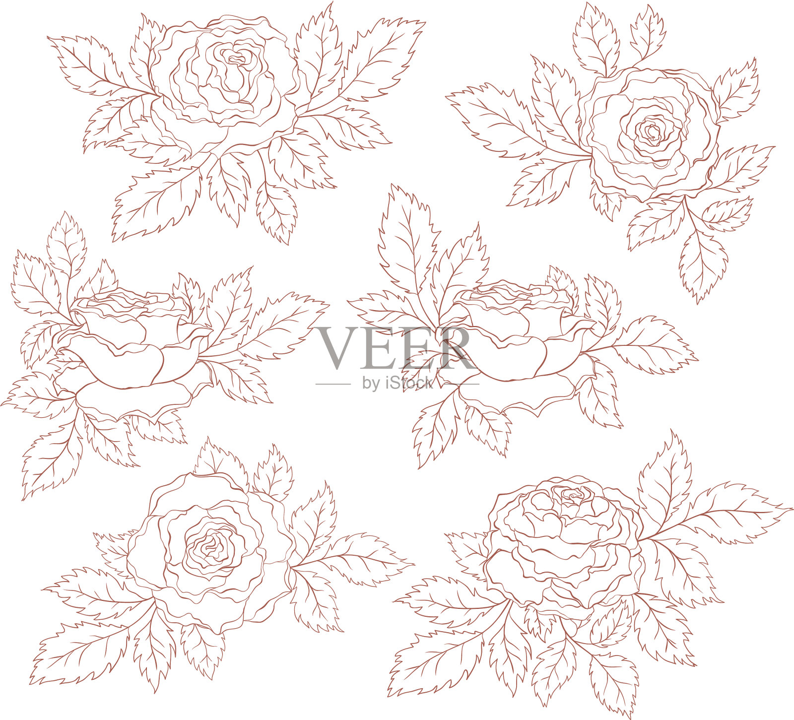 一套装饰玫瑰设计元素图片