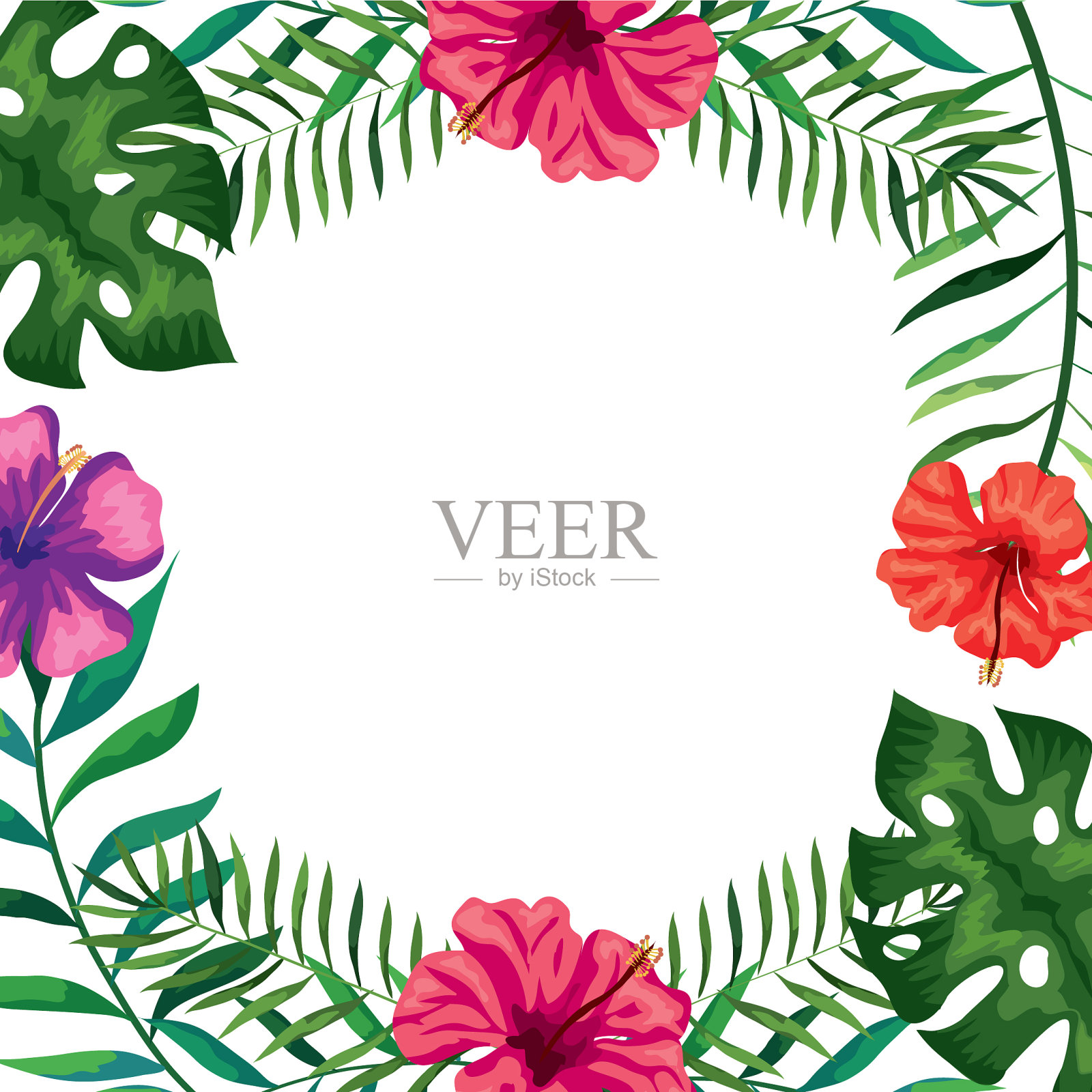 用枝叶装饰花插画图片素材