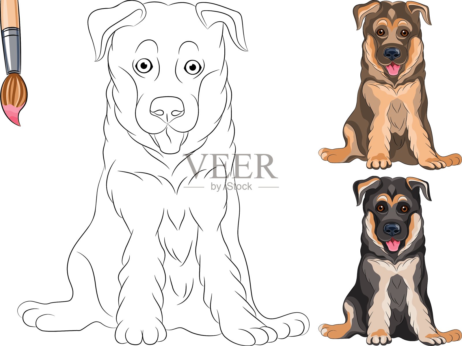 有趣的微笑小狗牧羊犬着色书插画图片素材