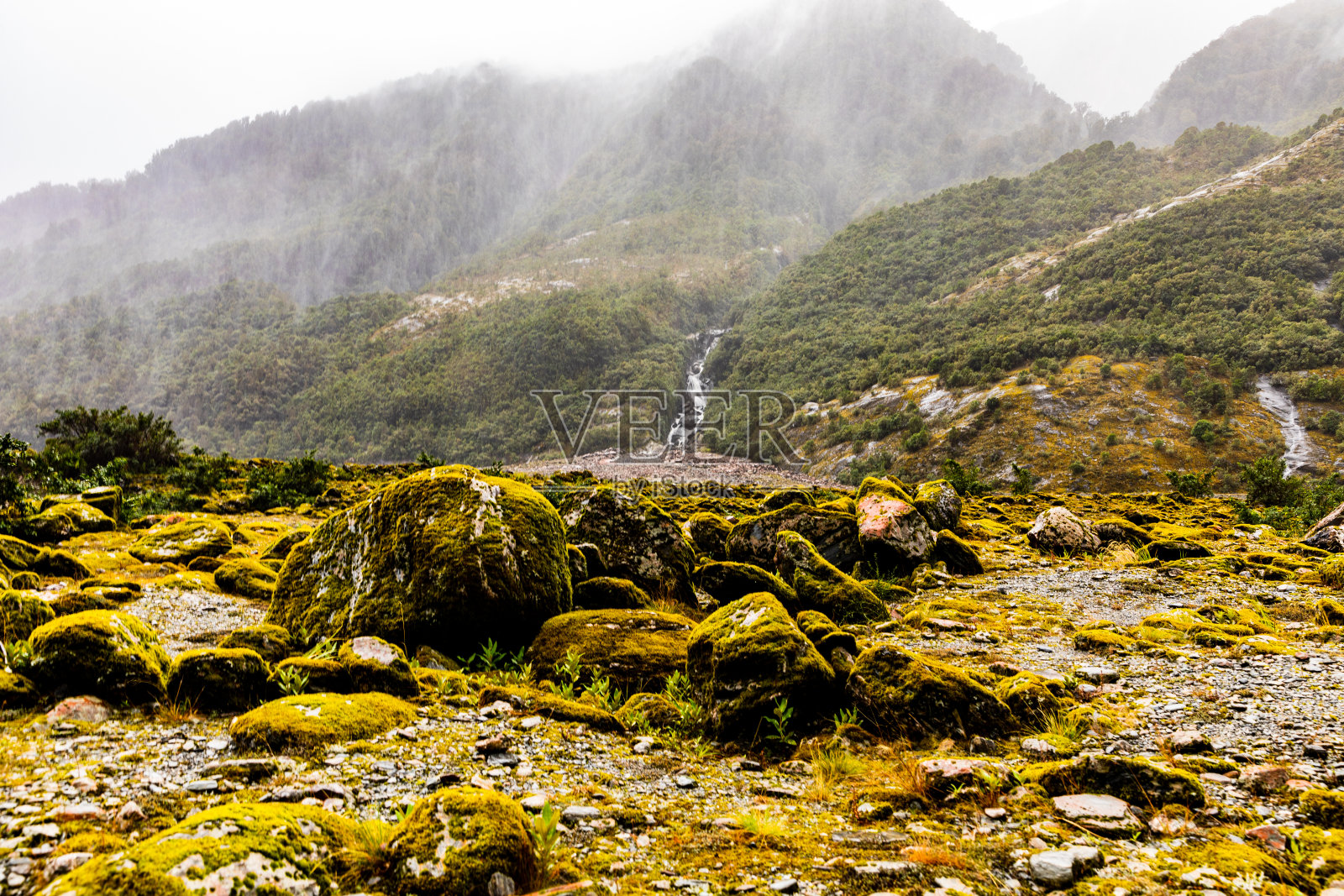 苔藓长在巨石上照片摄影图片