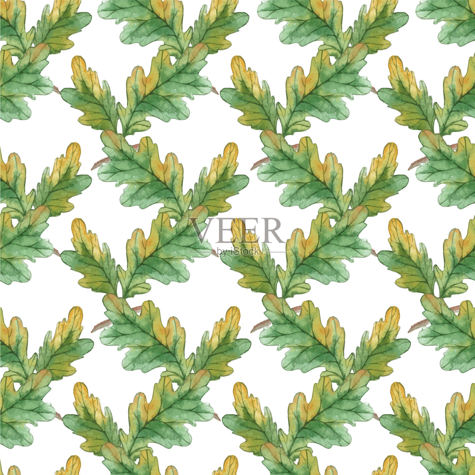 橡木叶无缝图案插画图片素材