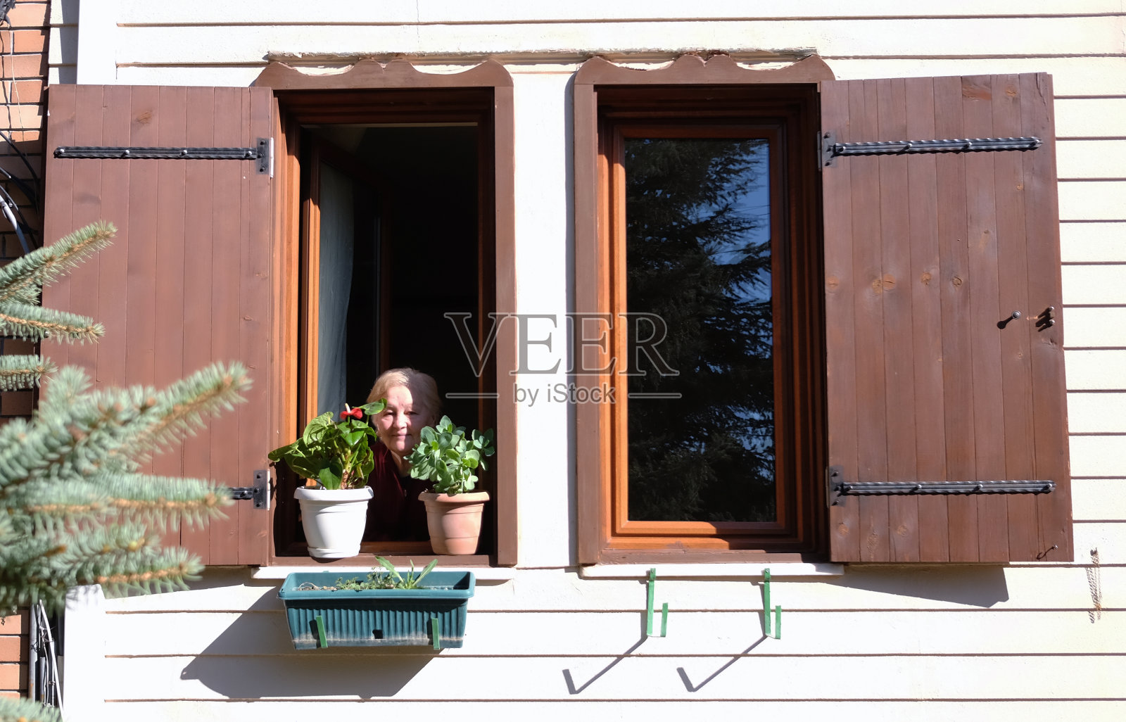 照顾她的花的资深女性照片摄影图片